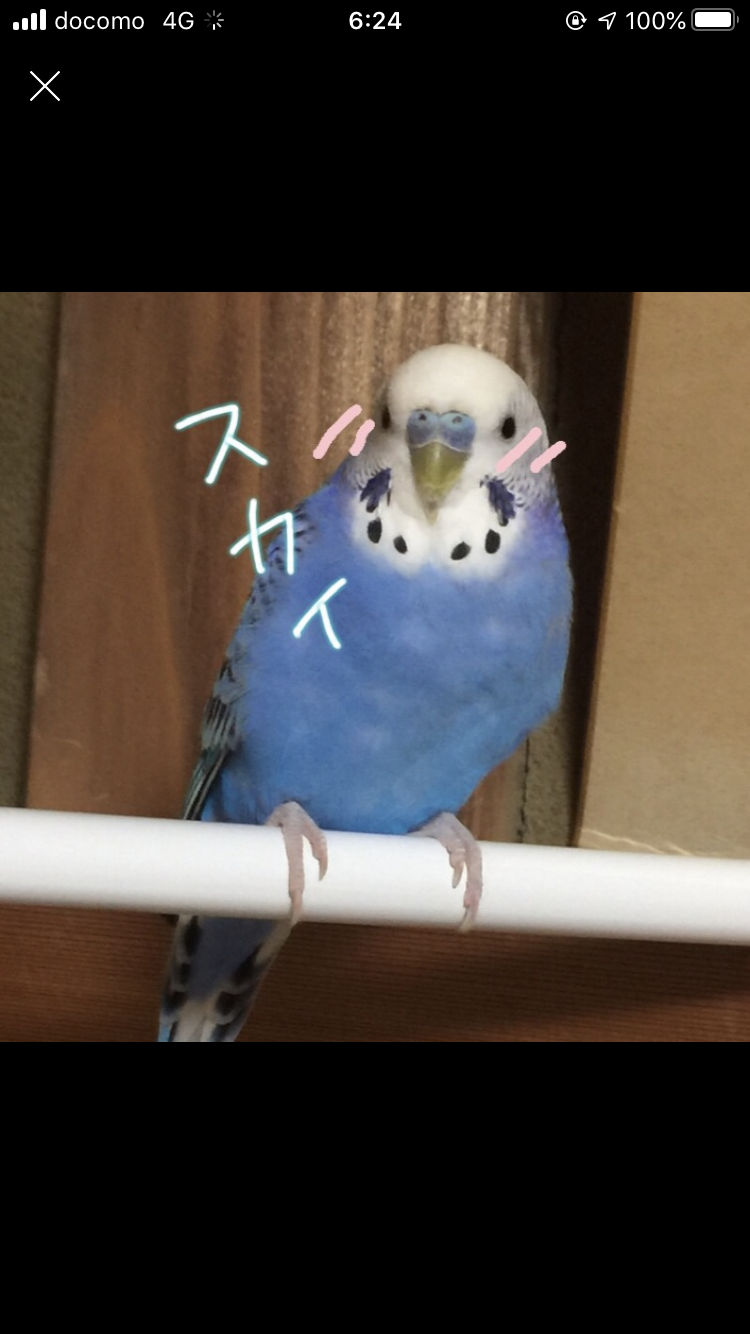ユーザーの写真