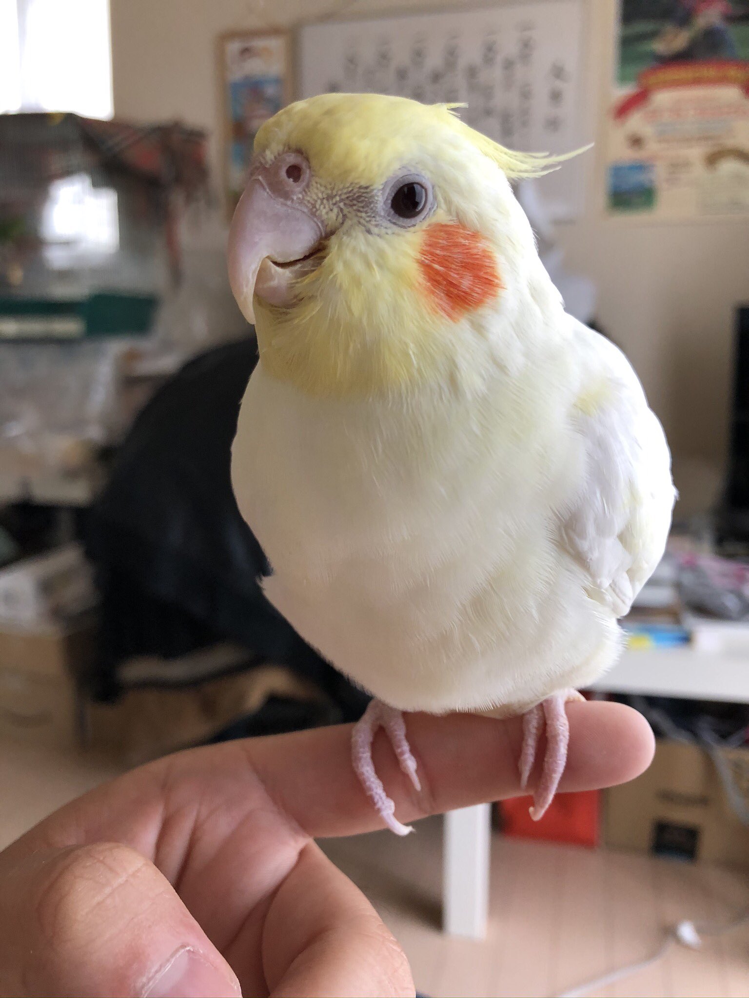 ユーザーの写真