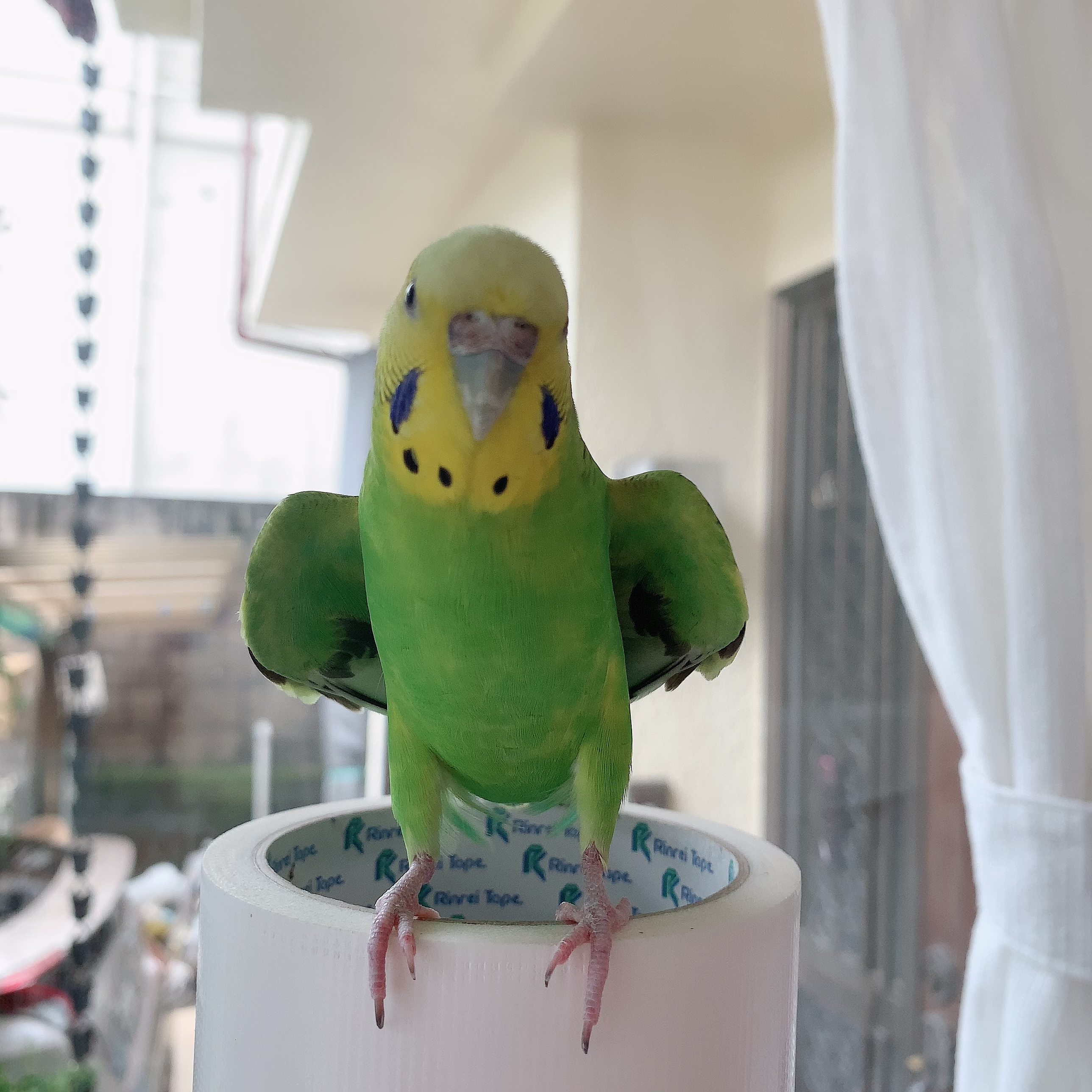 ユーザーの写真