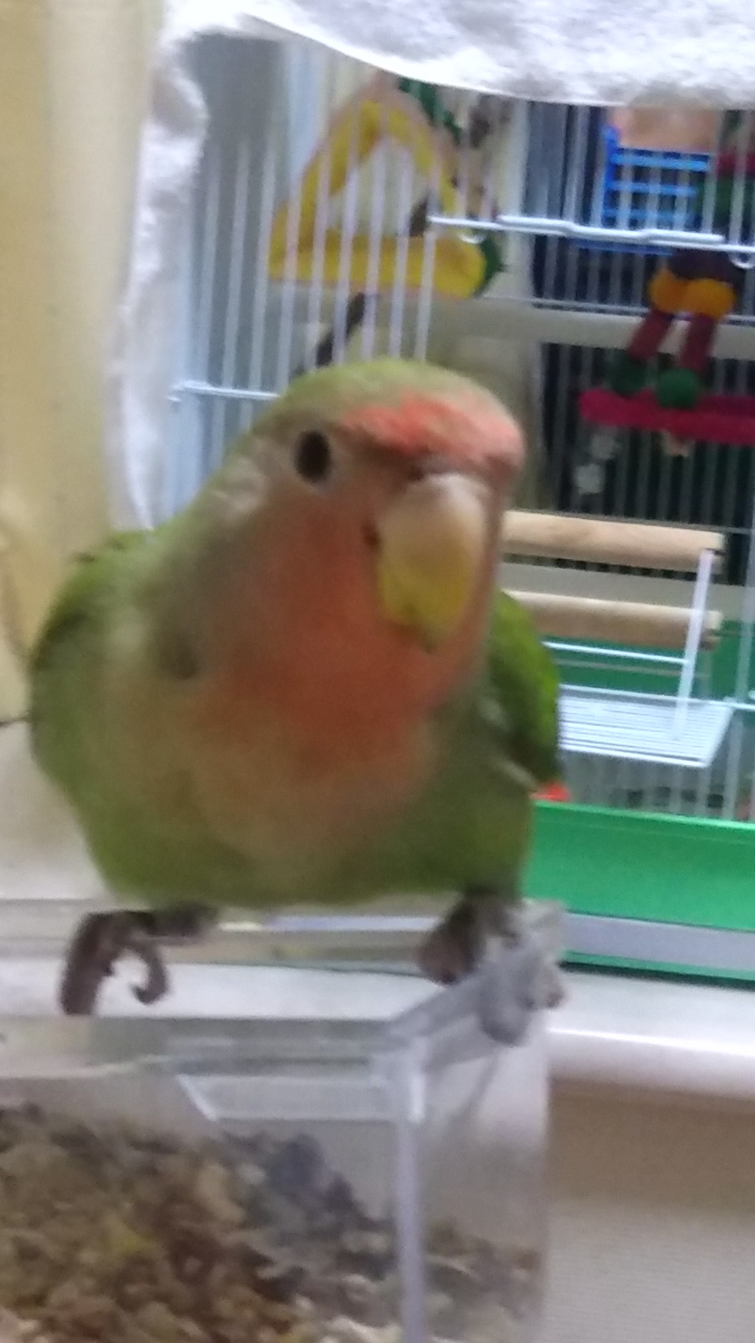 ユーザーの写真