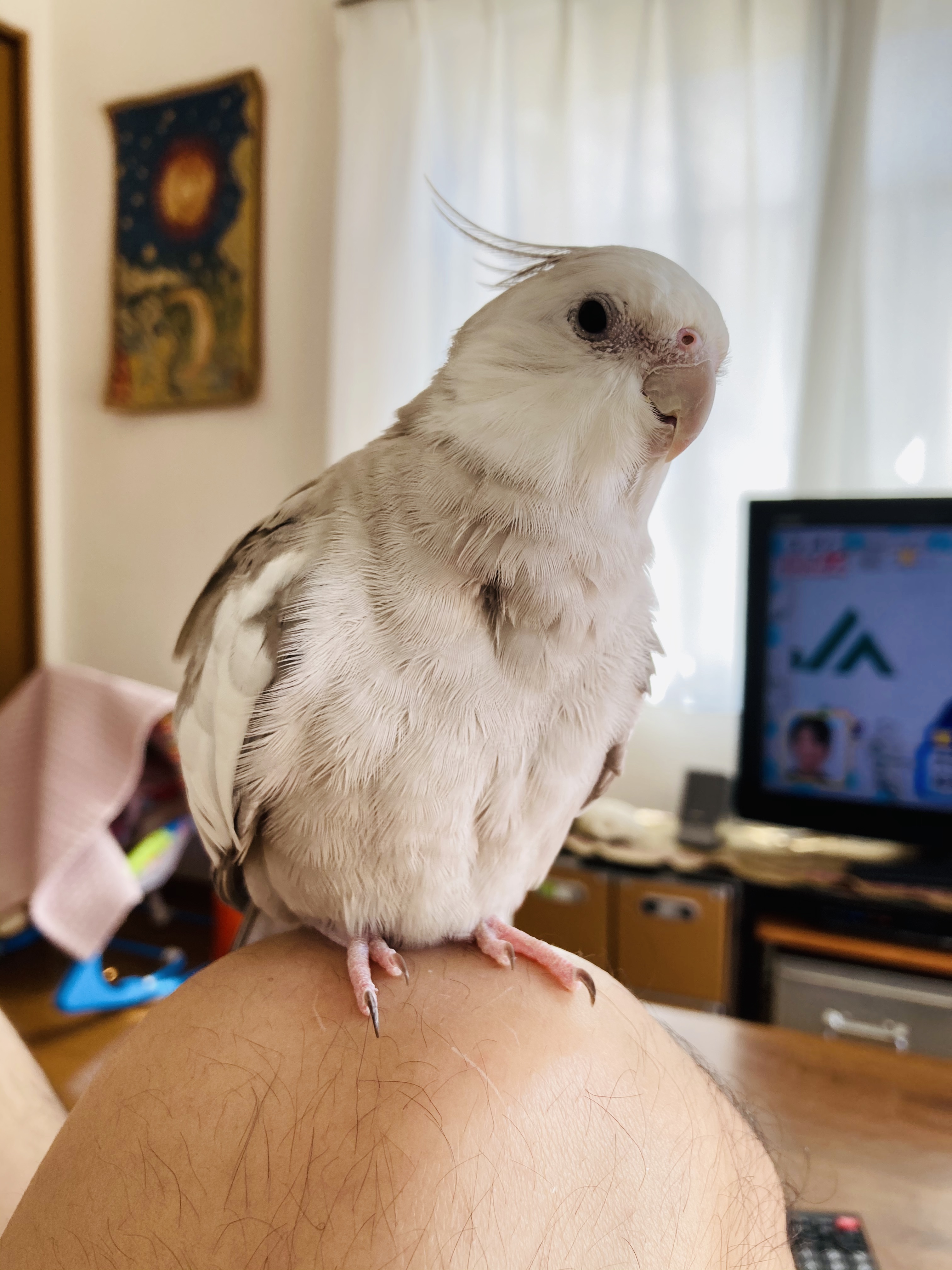 ユーザーの写真