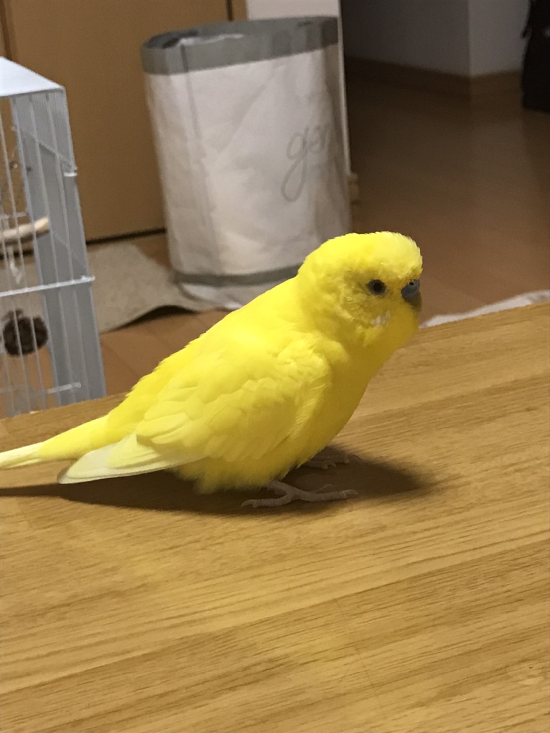 ユーザーの写真