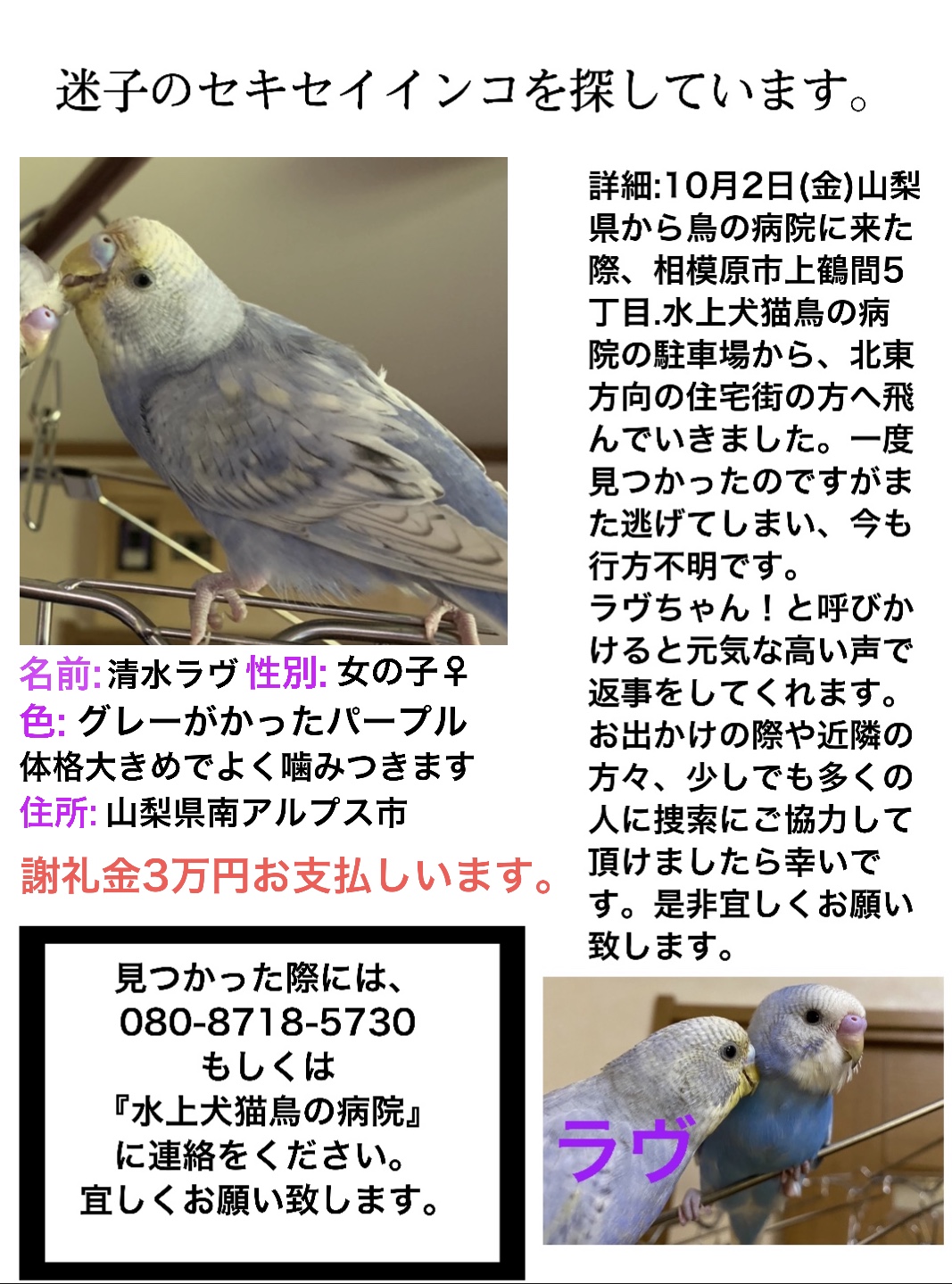 ユーザーの写真