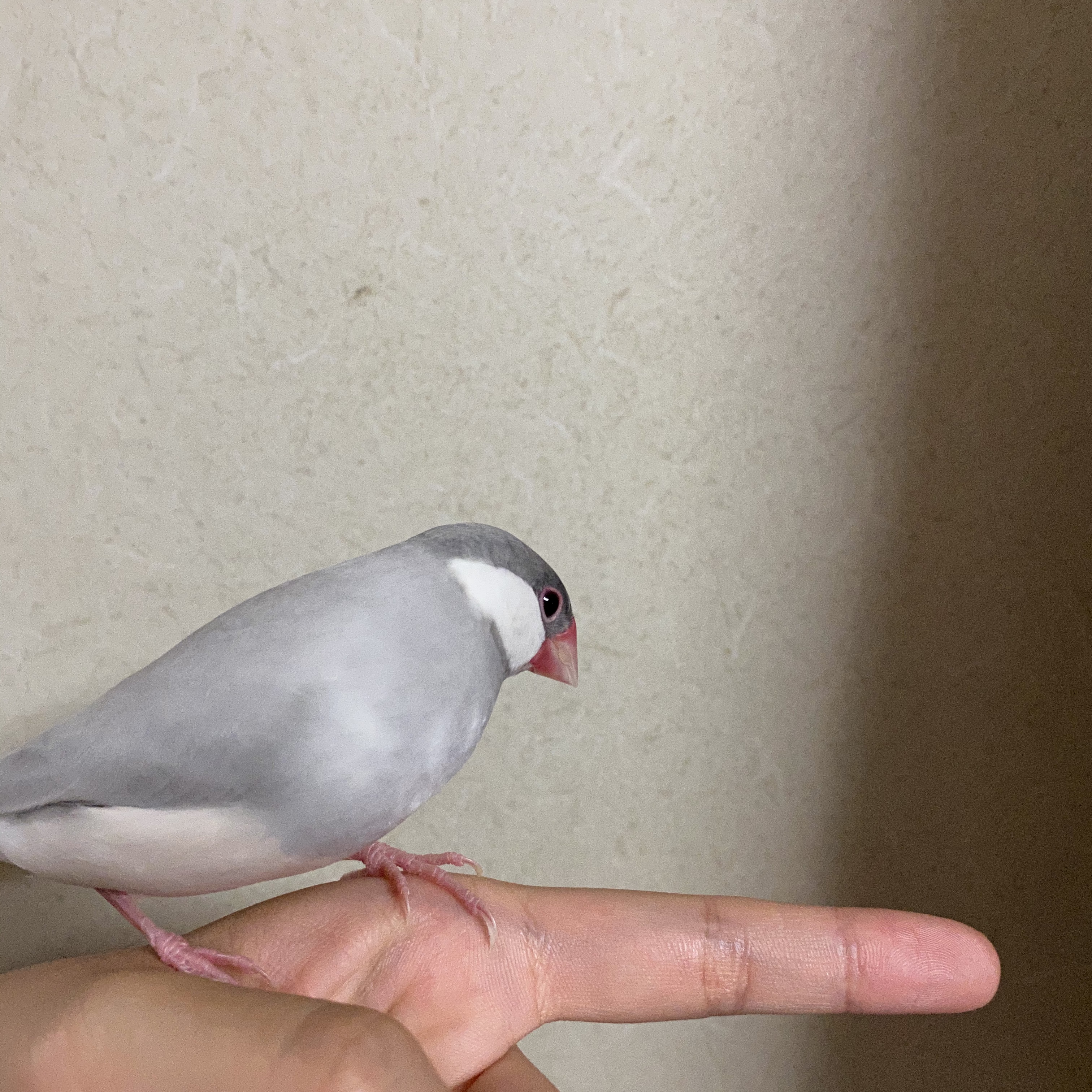 ユーザーの写真
