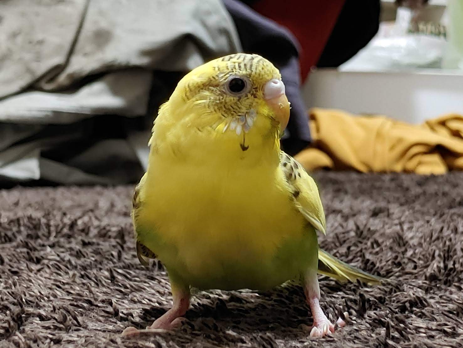 ユーザーの写真