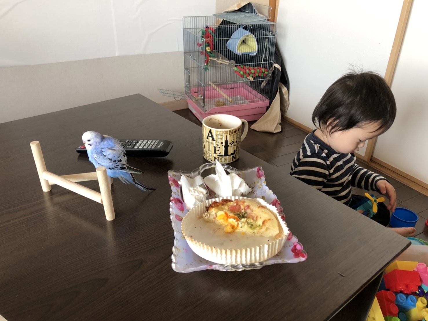 ユーザーの写真
