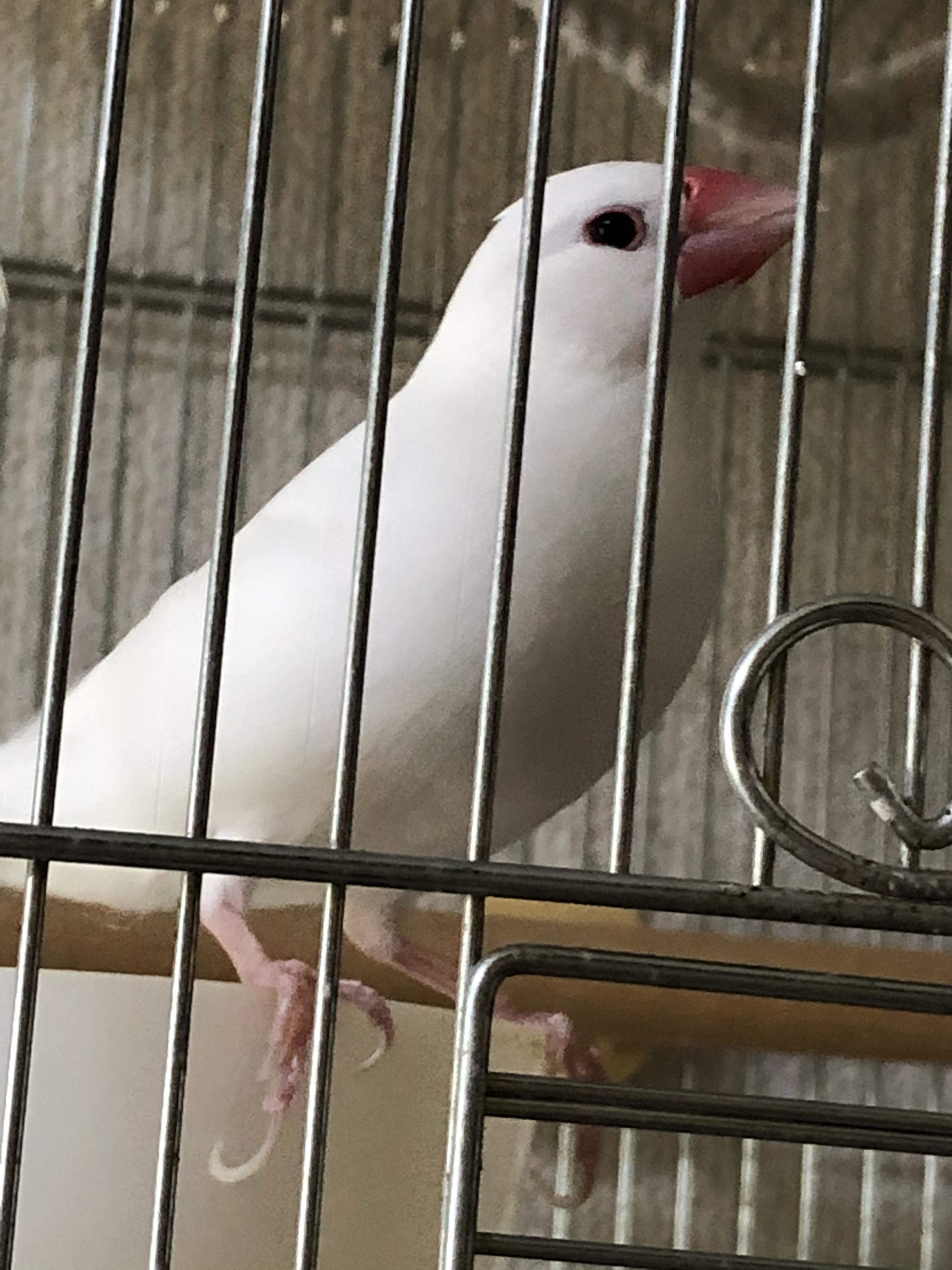 ユーザーの写真
