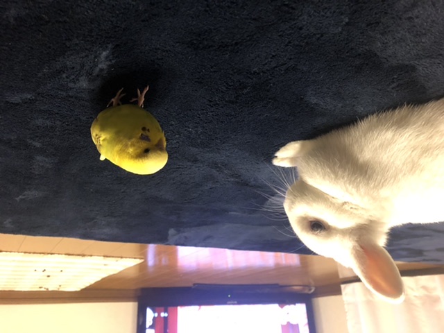 ユーザーの写真
