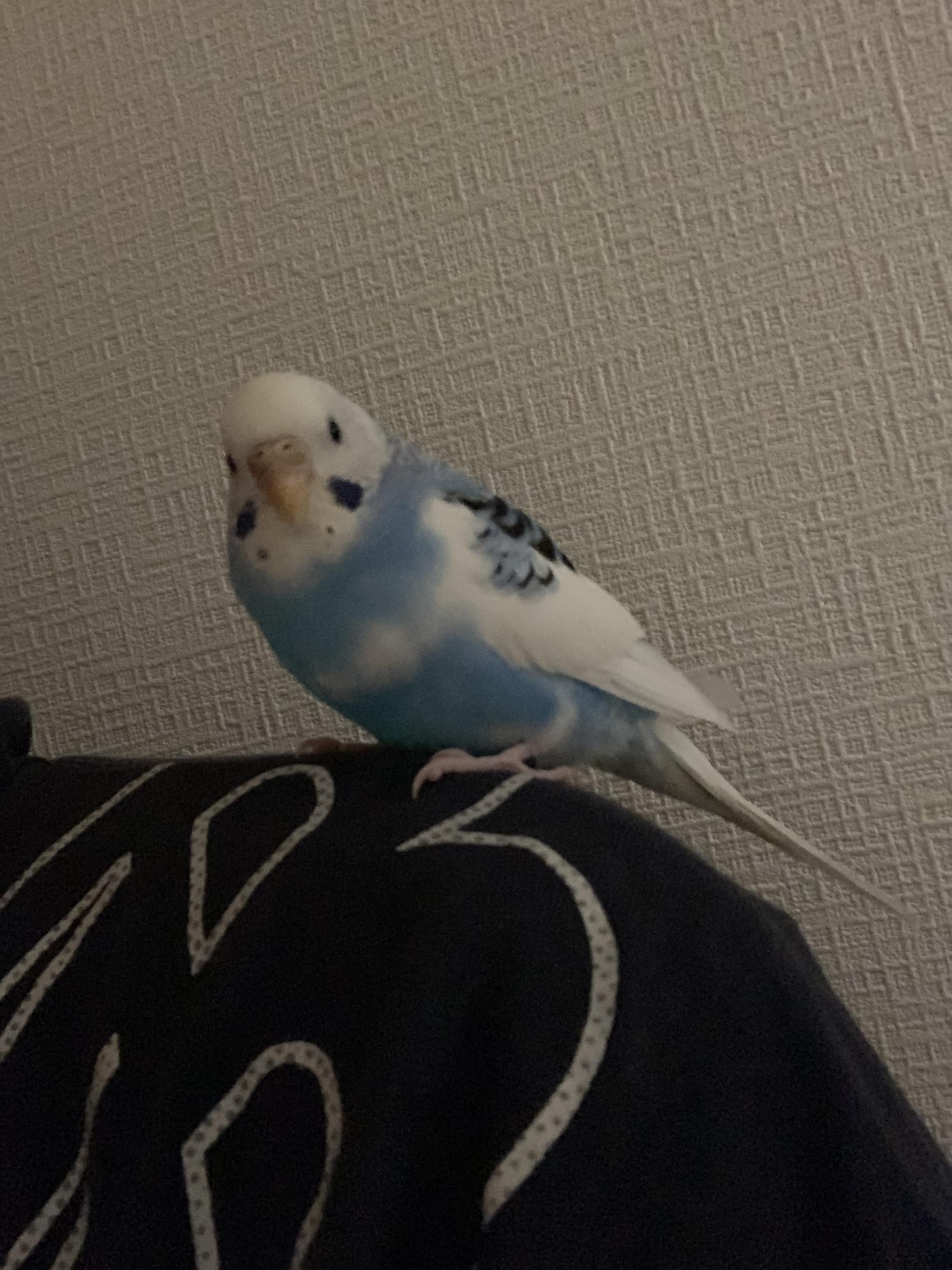 ユーザーの写真