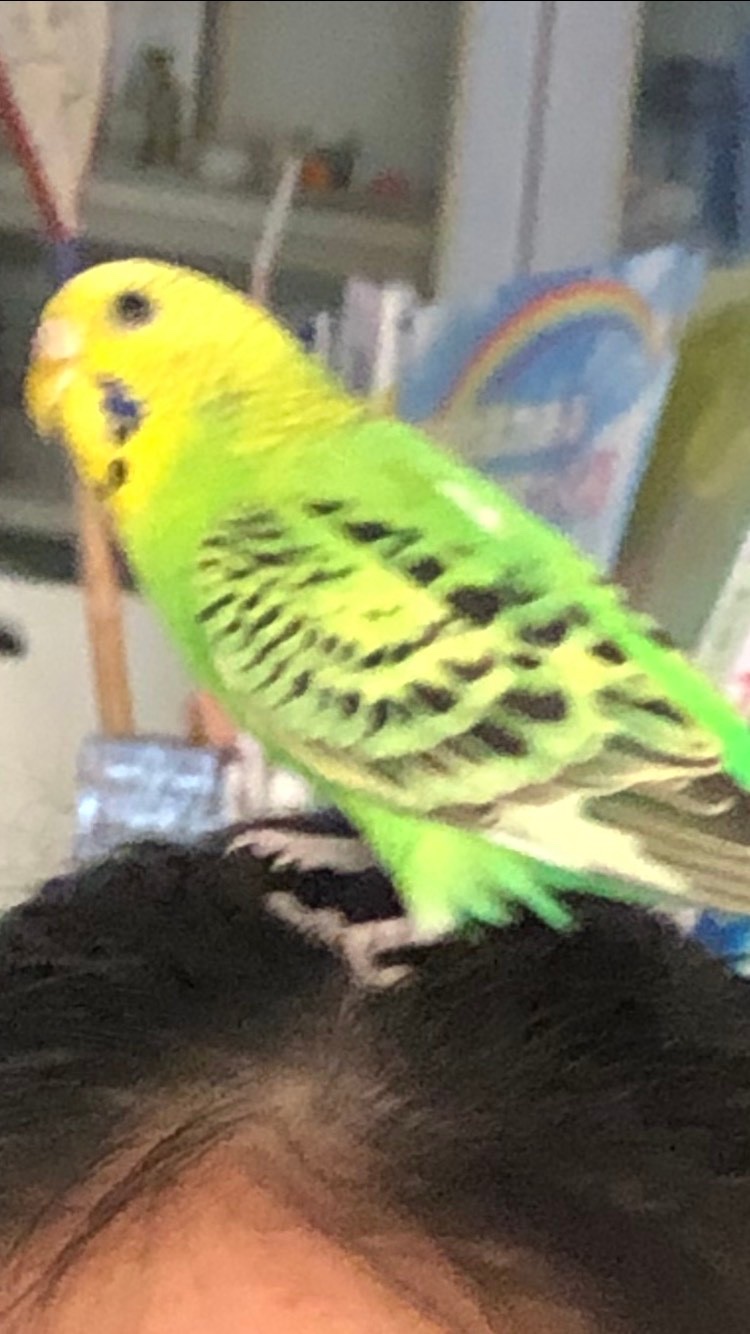 ユーザーの写真