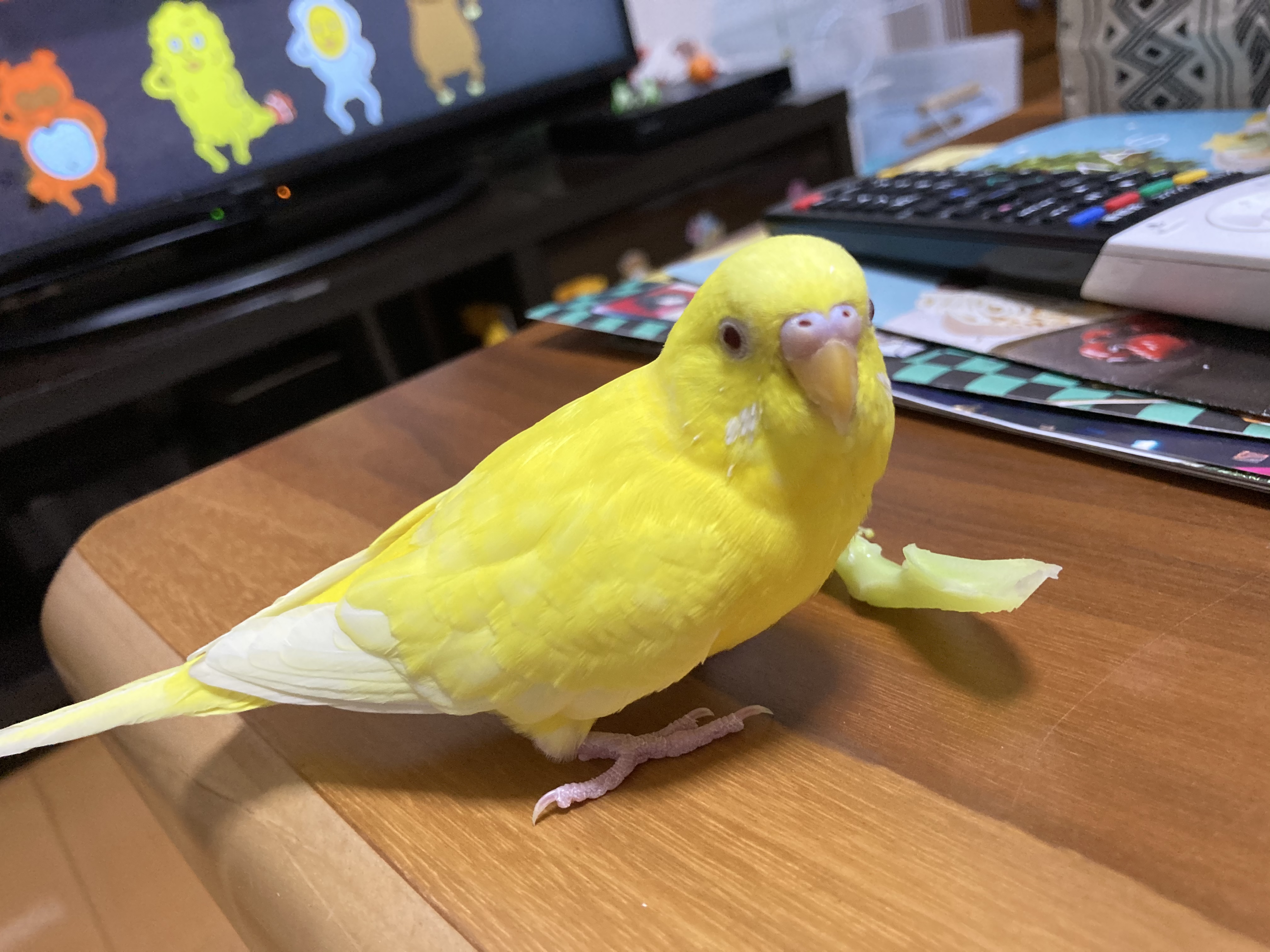 ユーザーの写真