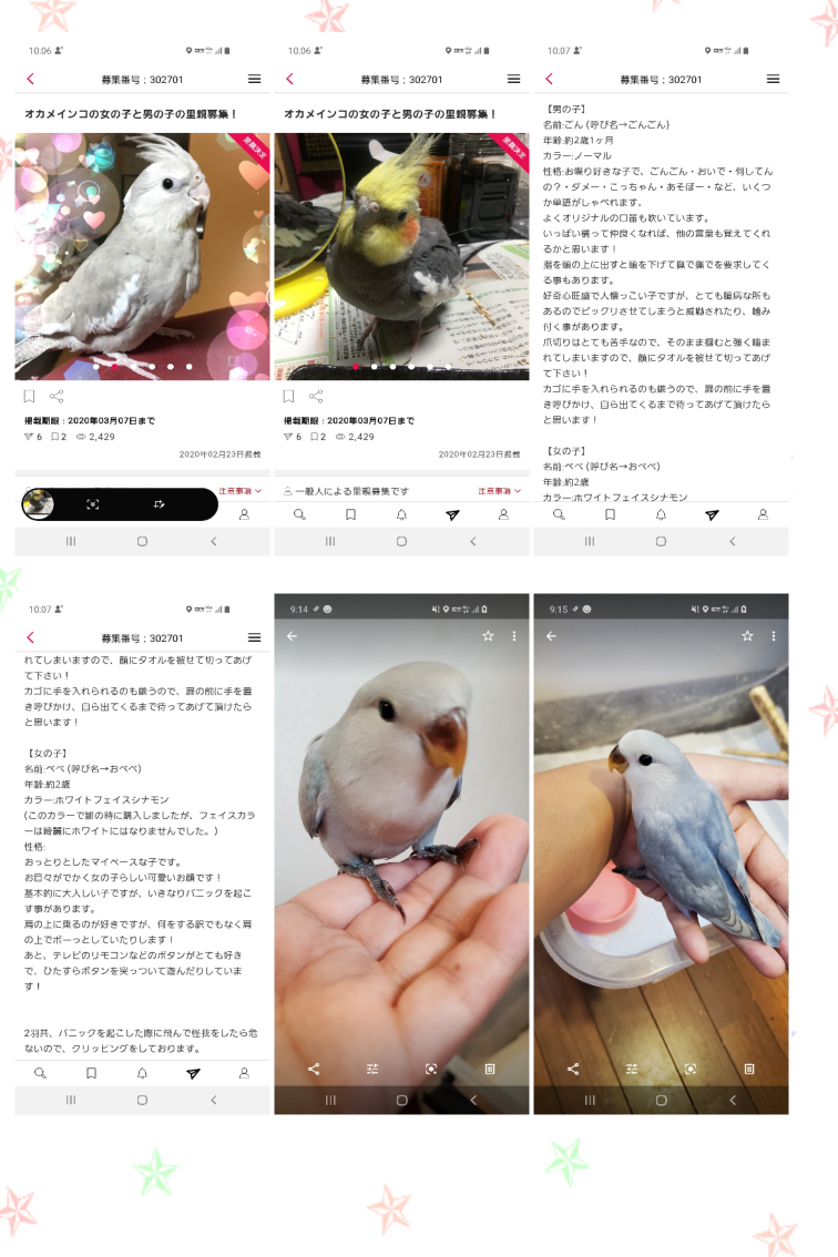 ユーザーの写真