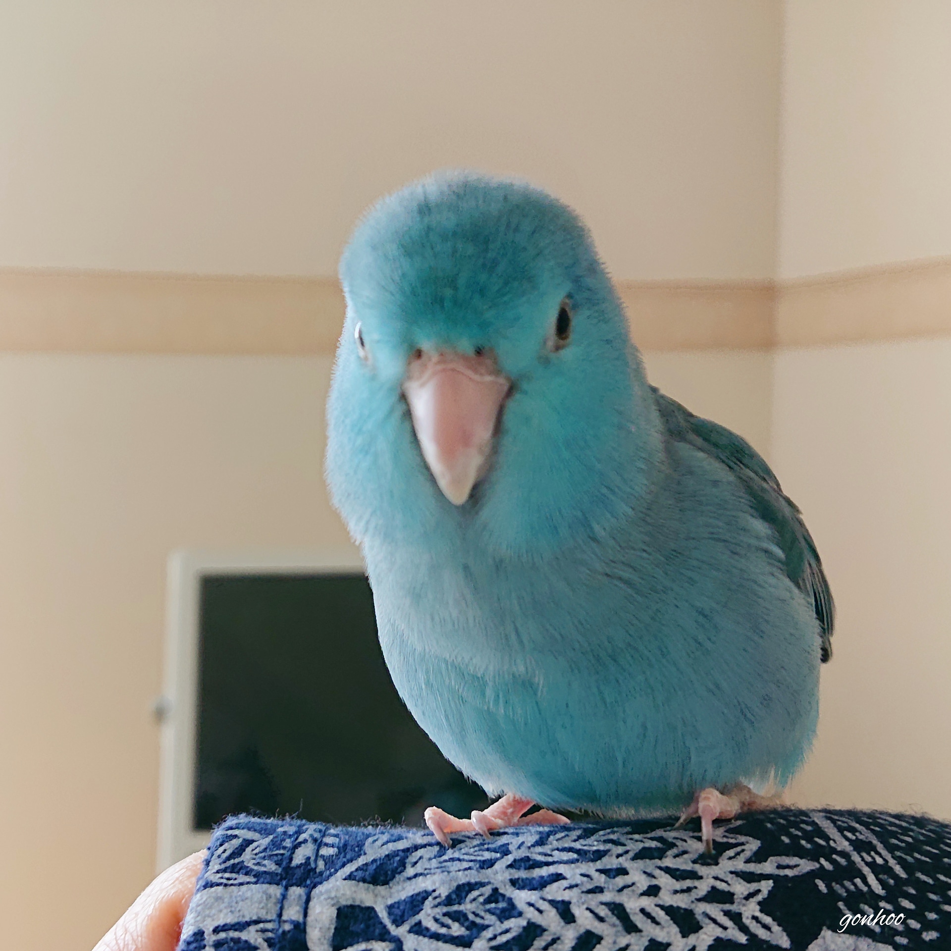 ユーザーの写真