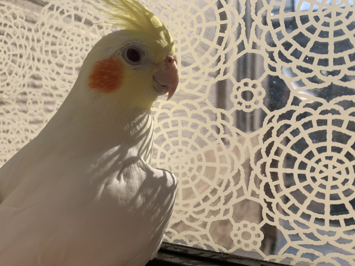 ユーザーの写真