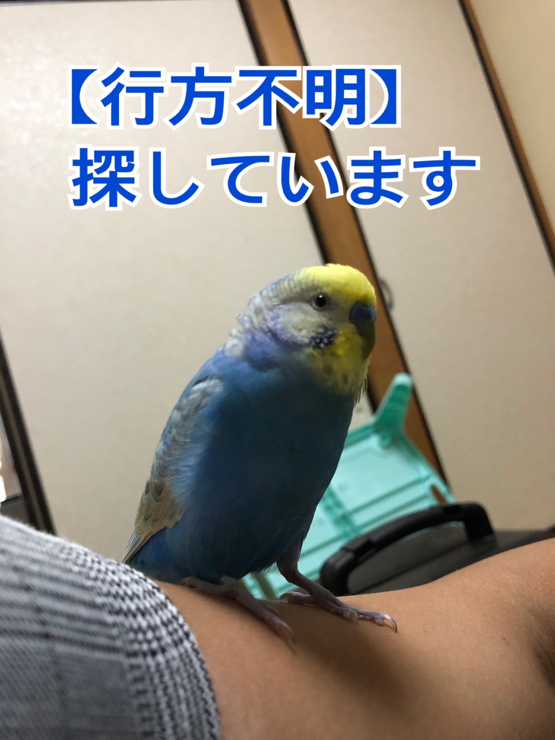 ユーザーの写真