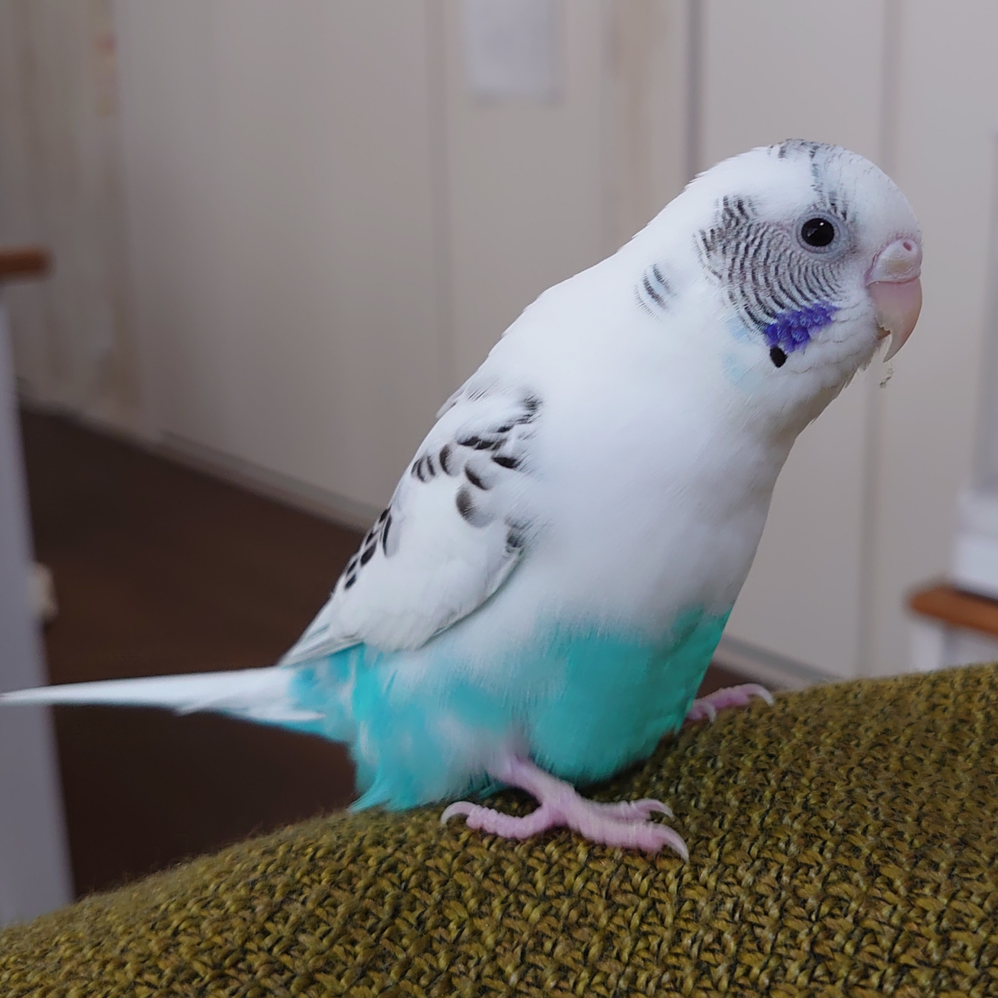 ユーザーの写真