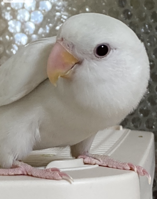 ユーザーの写真