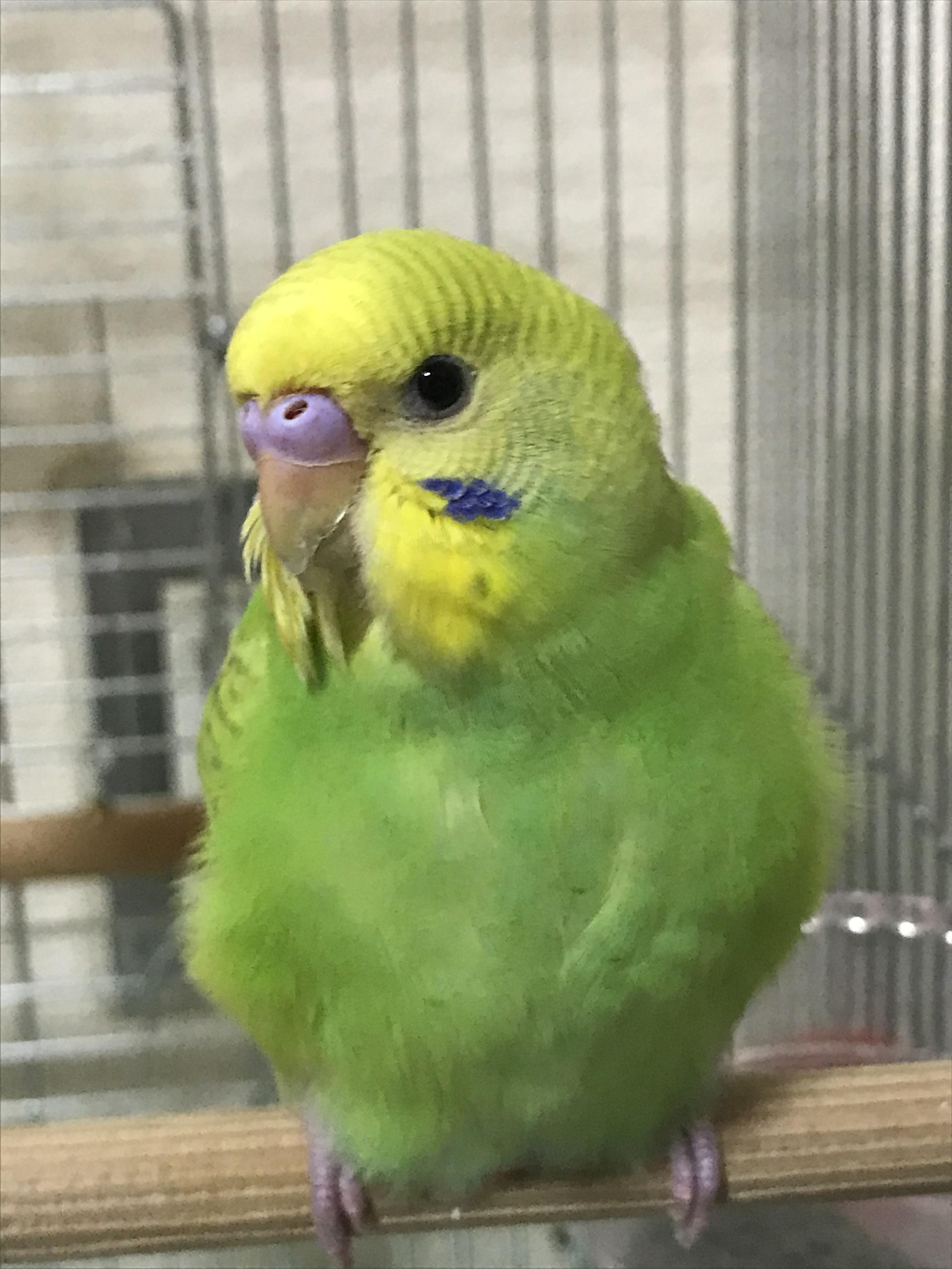 ユーザーの写真