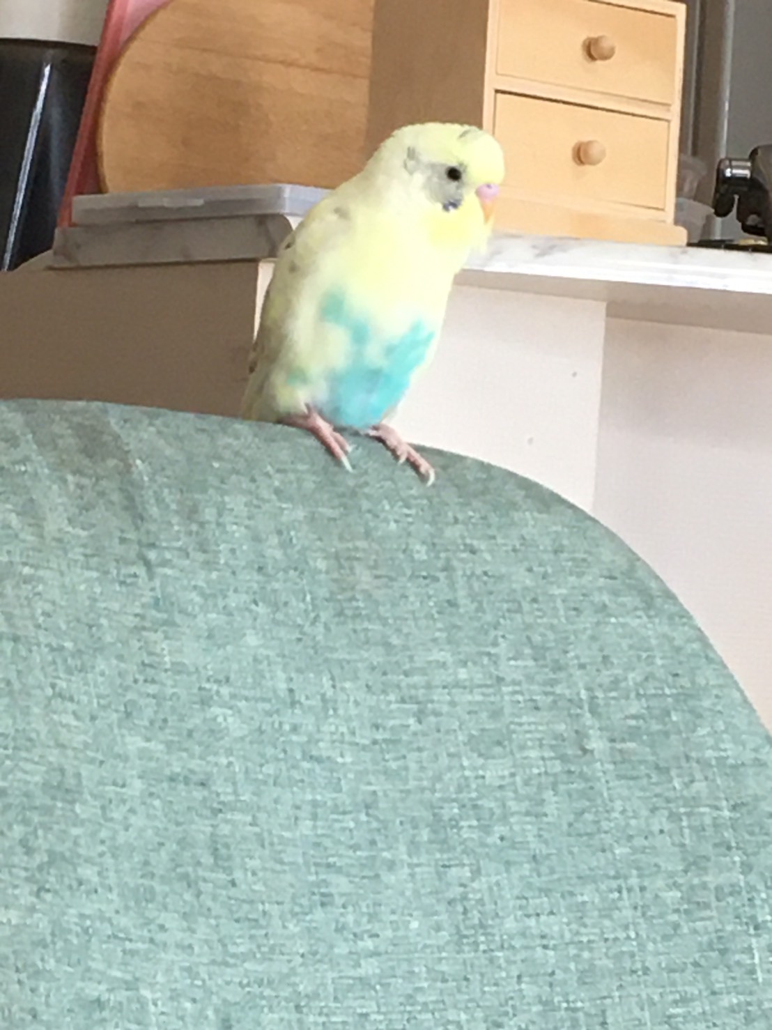 ユーザーの写真