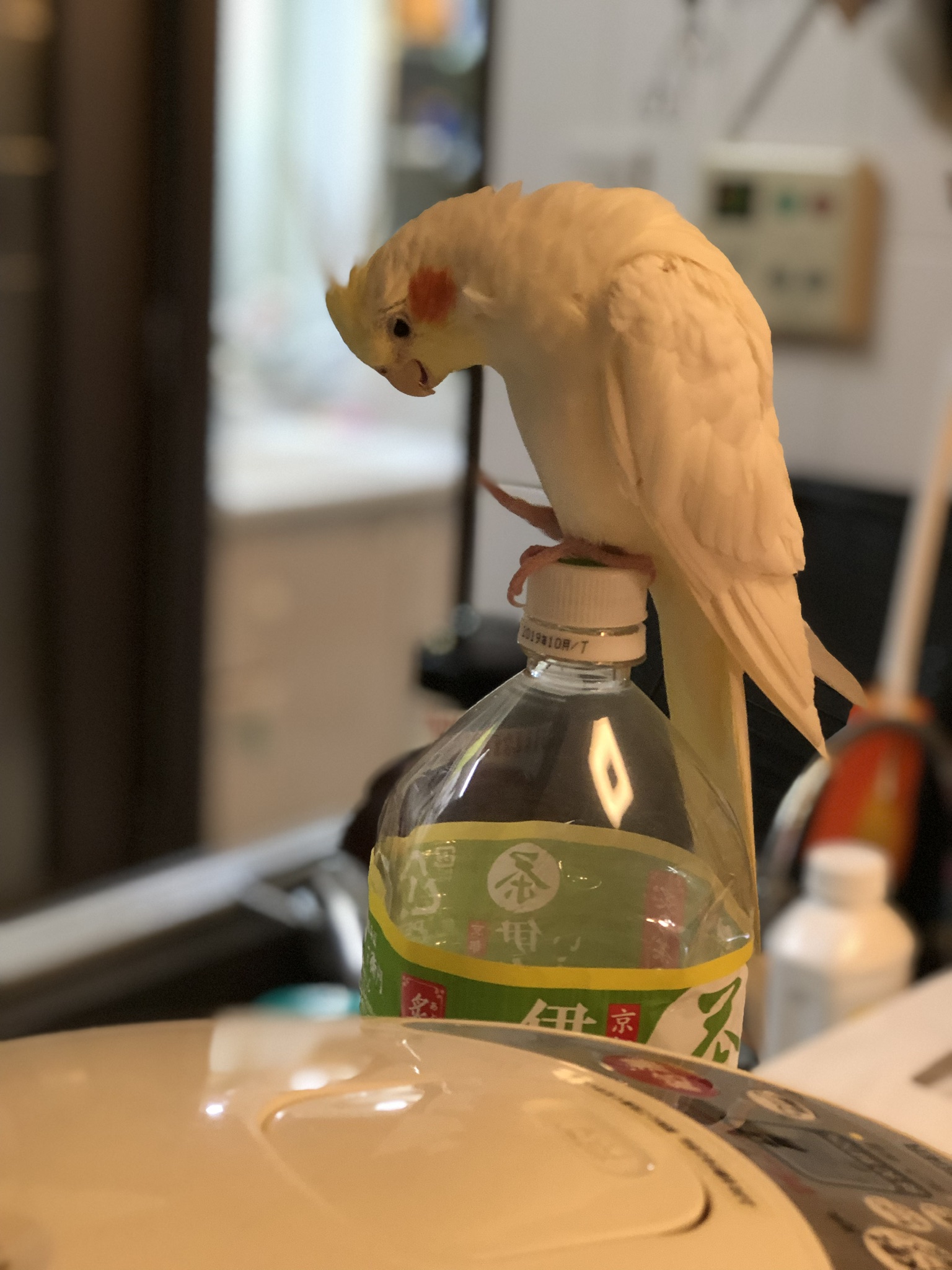 ユーザーの写真