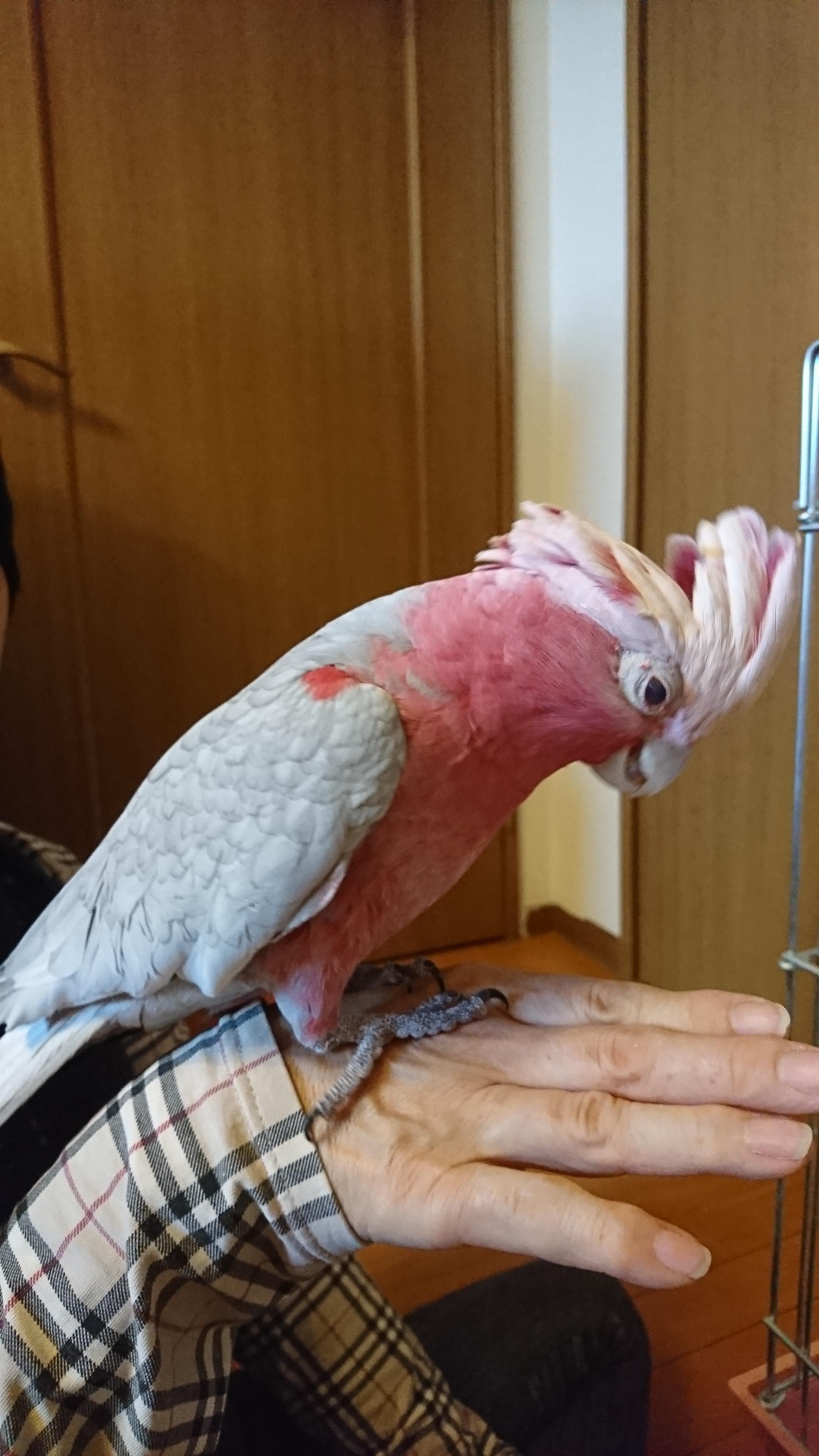 ユーザーの写真