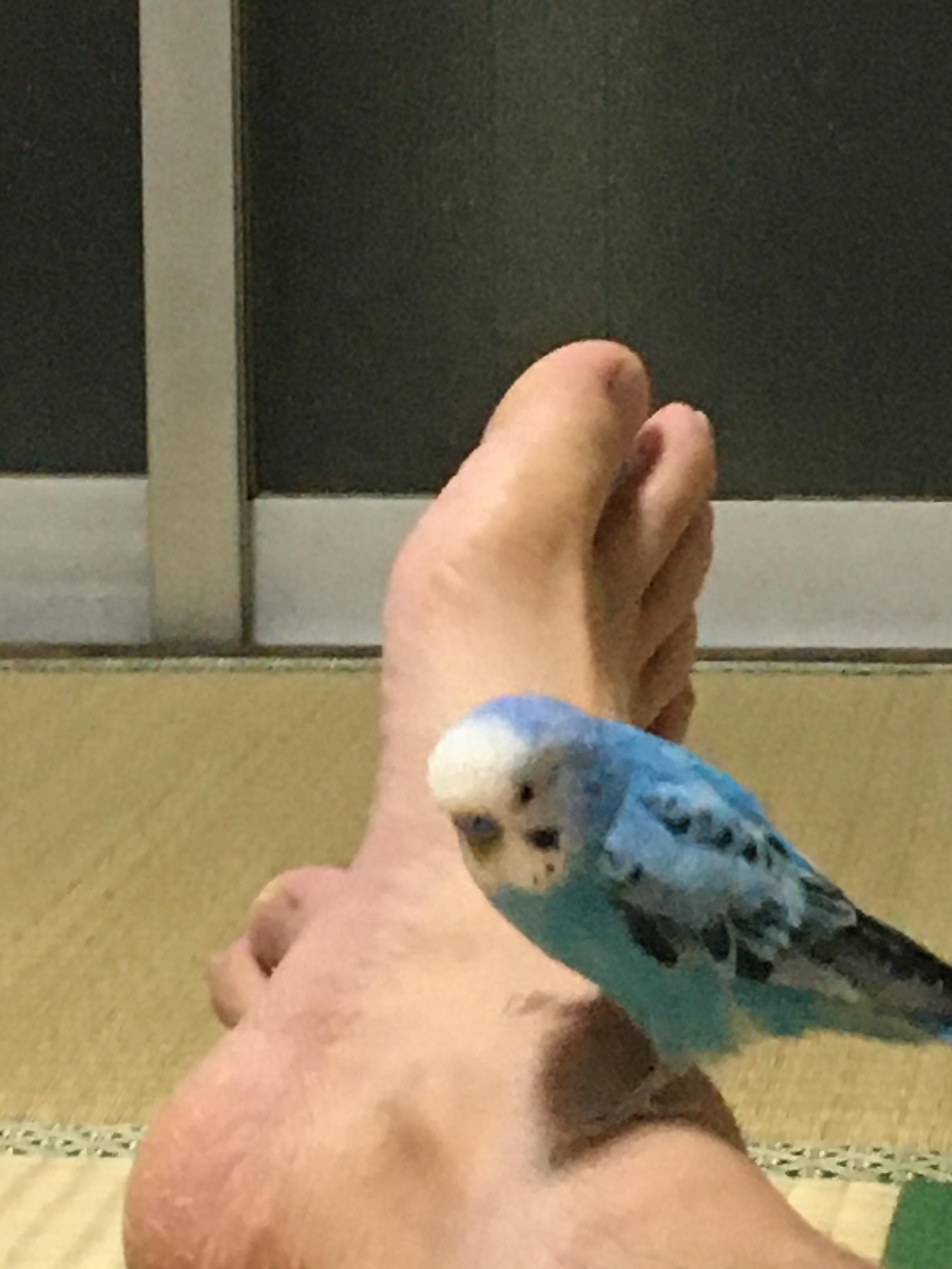 ユーザーの写真