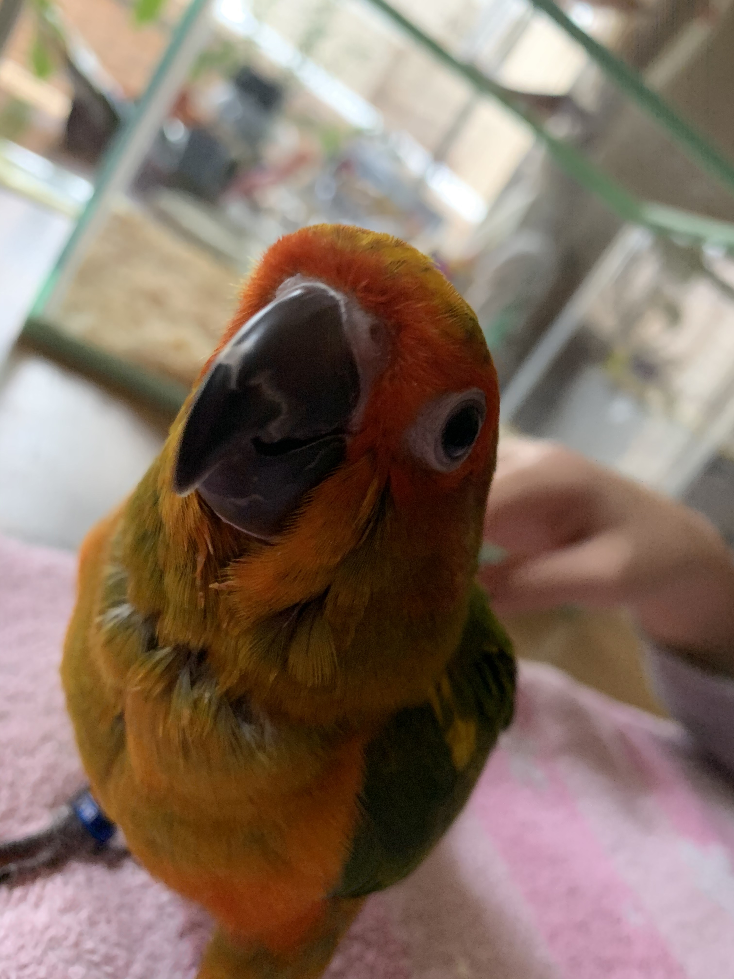 ユーザーの写真