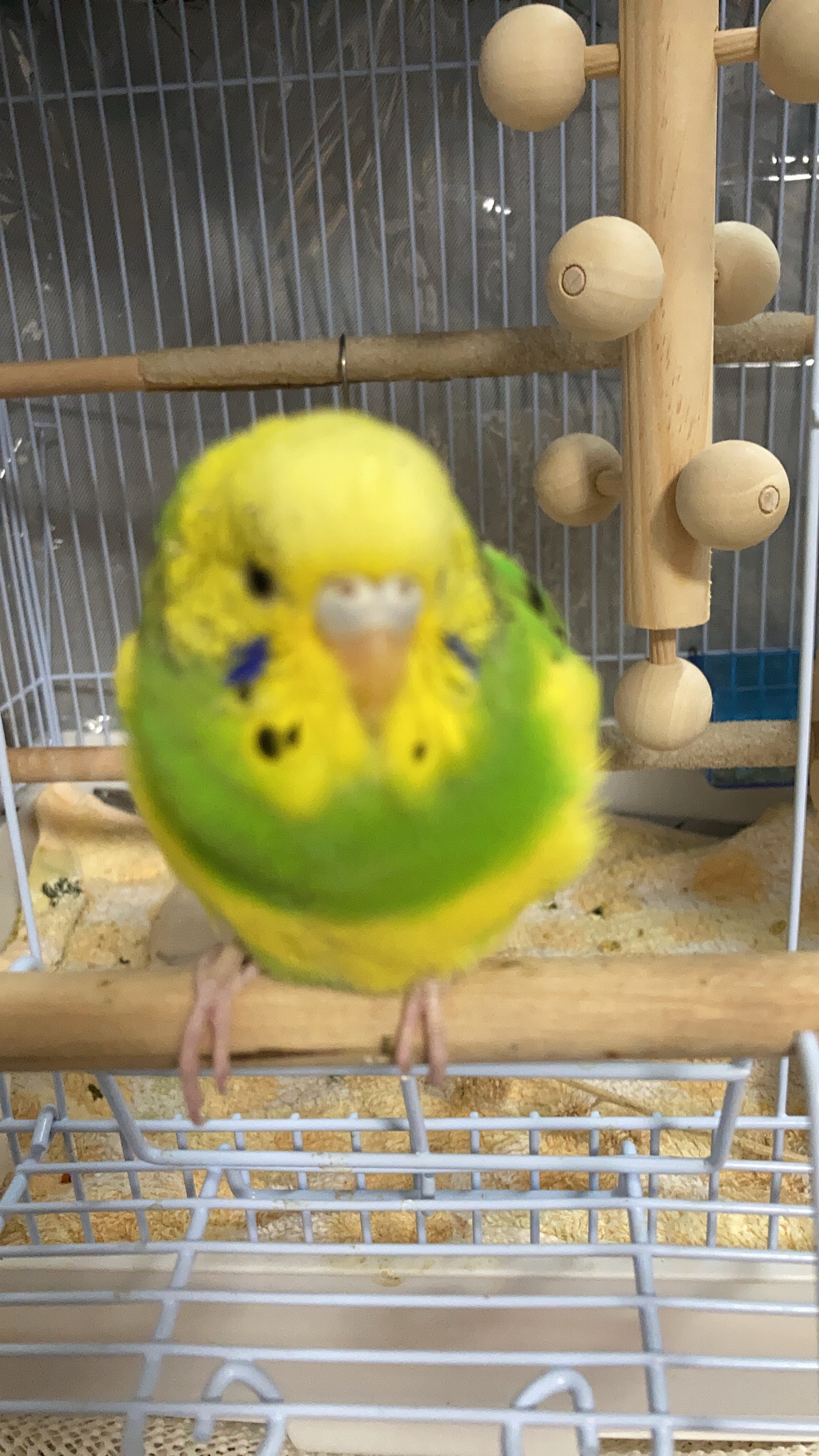 ユーザーの写真