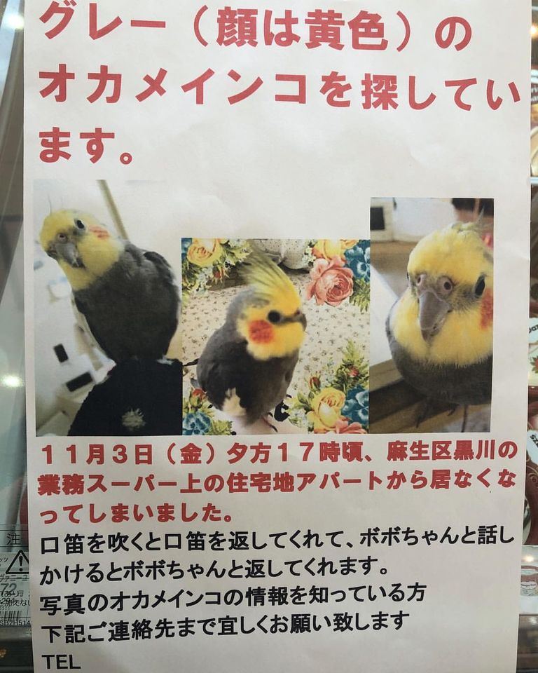 ユーザーの写真
