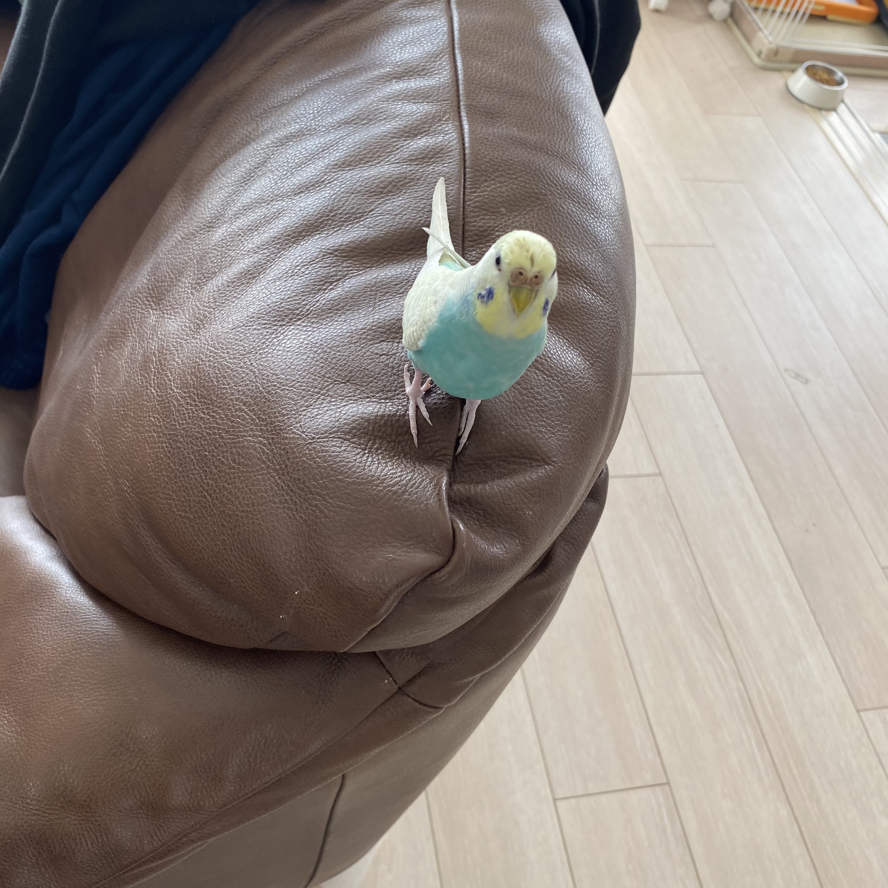 ユーザーの写真