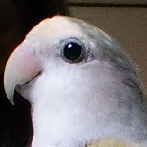 ユーザーの写真