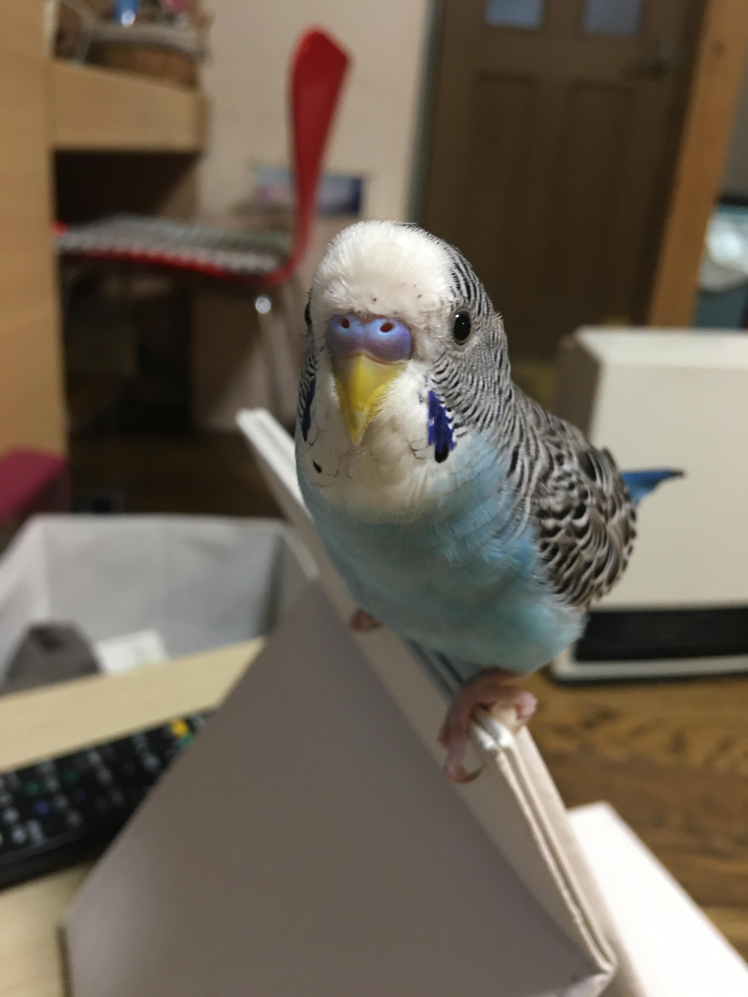 ユーザーの写真