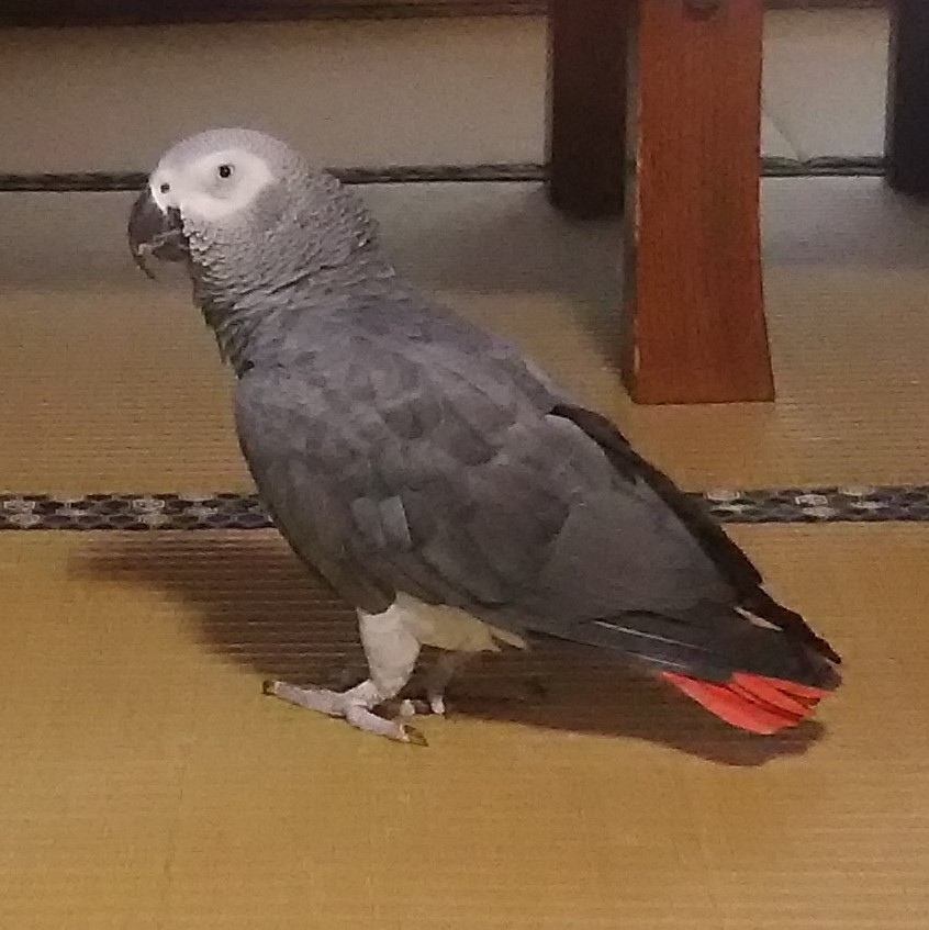 ユーザーの写真