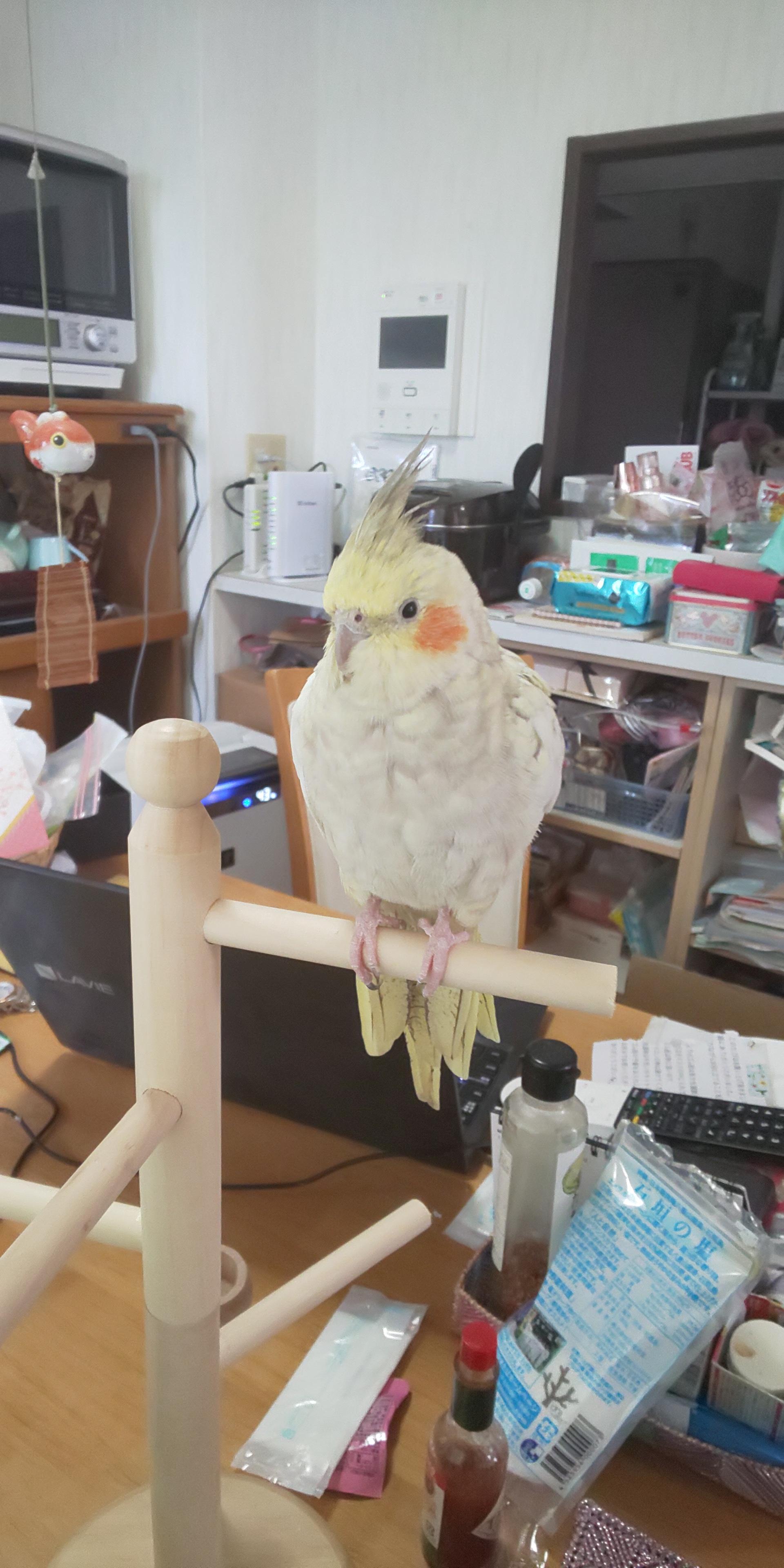 ユーザーの写真