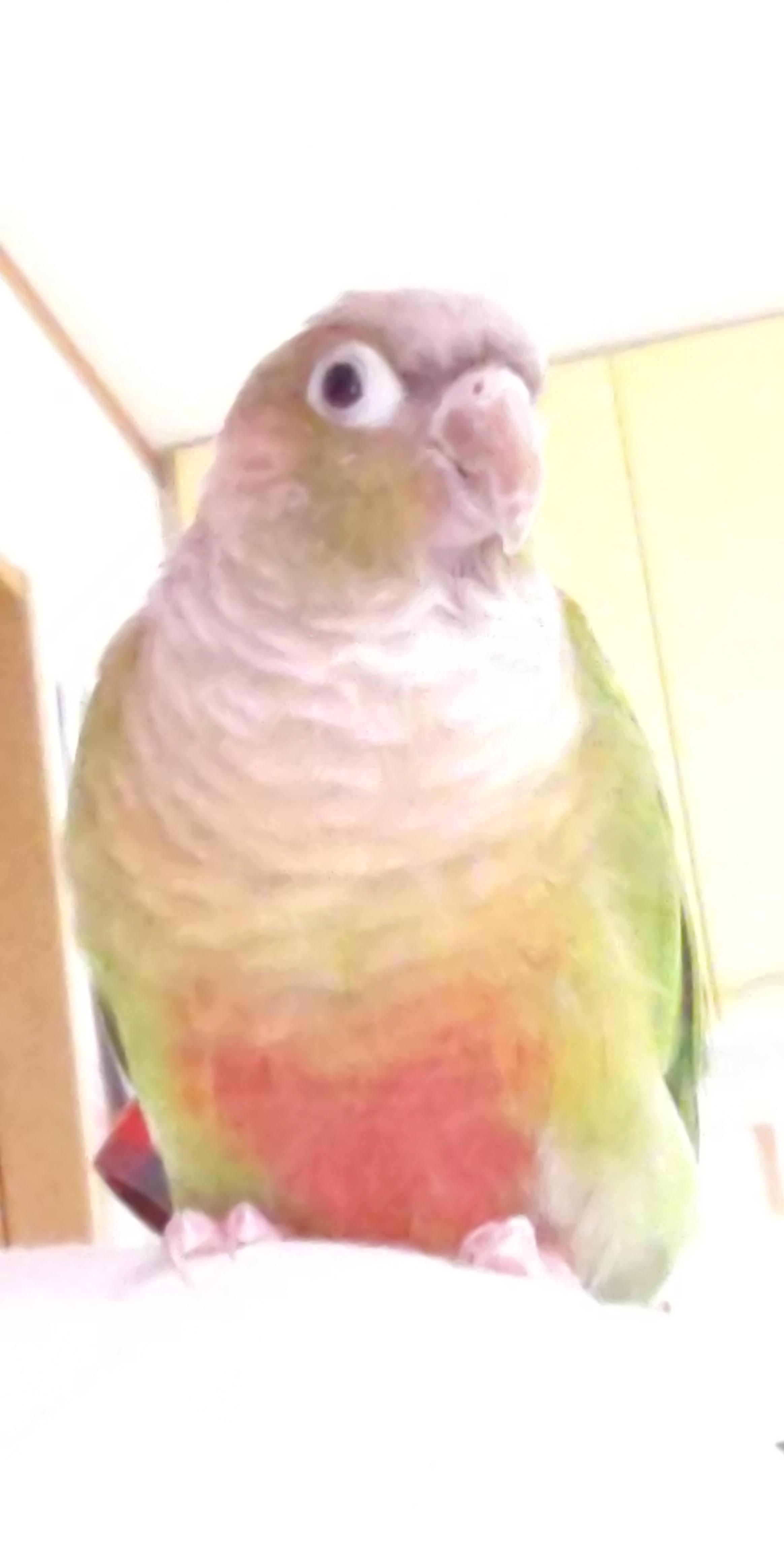 ユーザーの写真