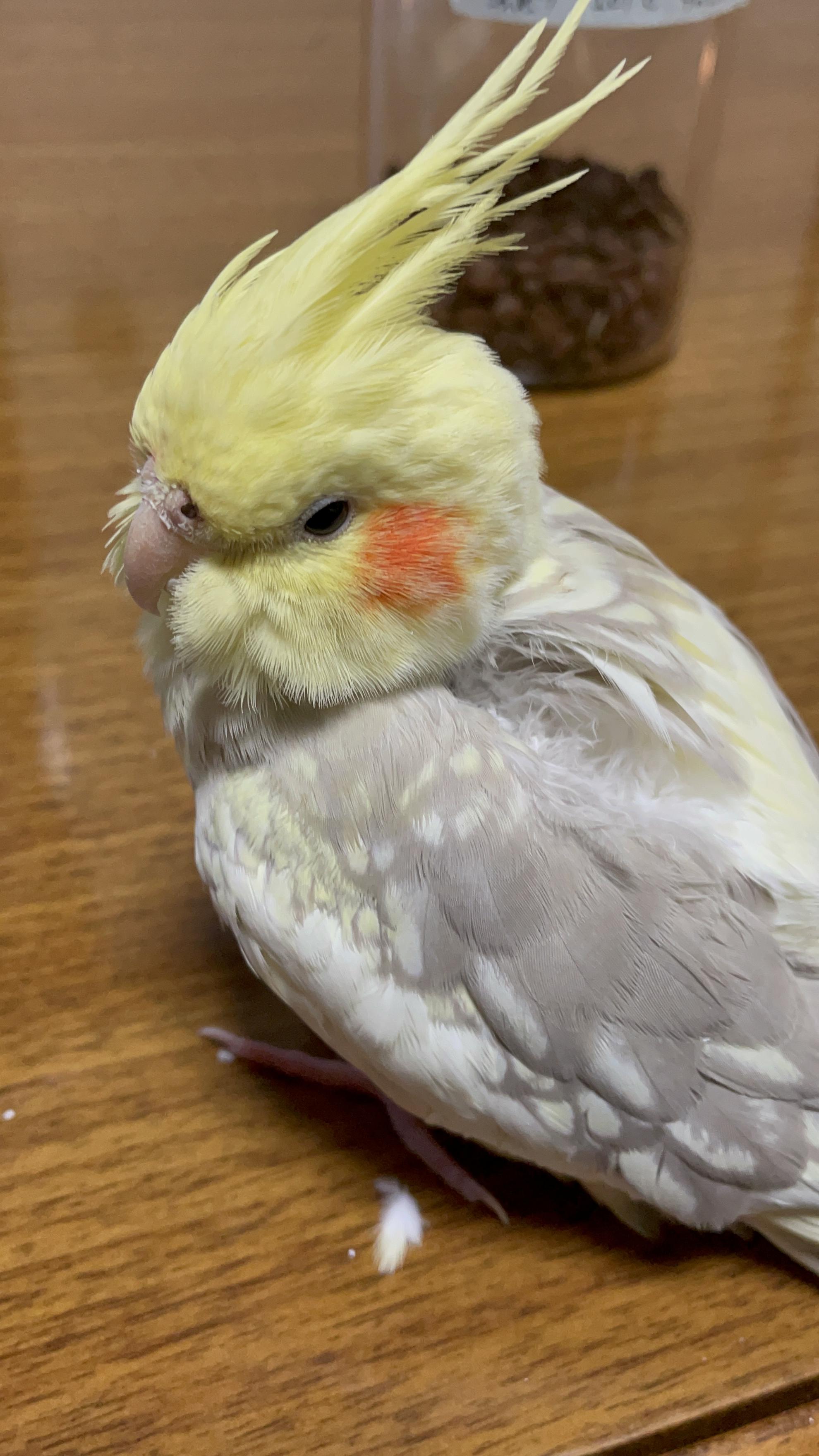 ユーザーの写真