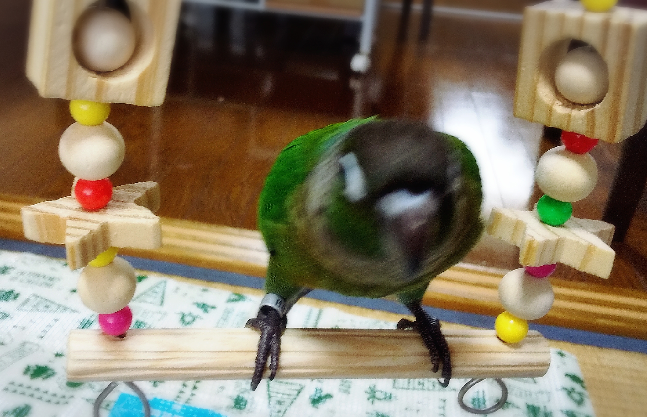 ユーザーの写真