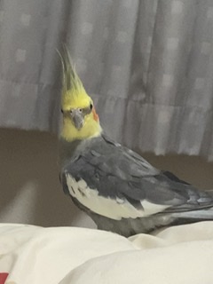 ユーザーの写真