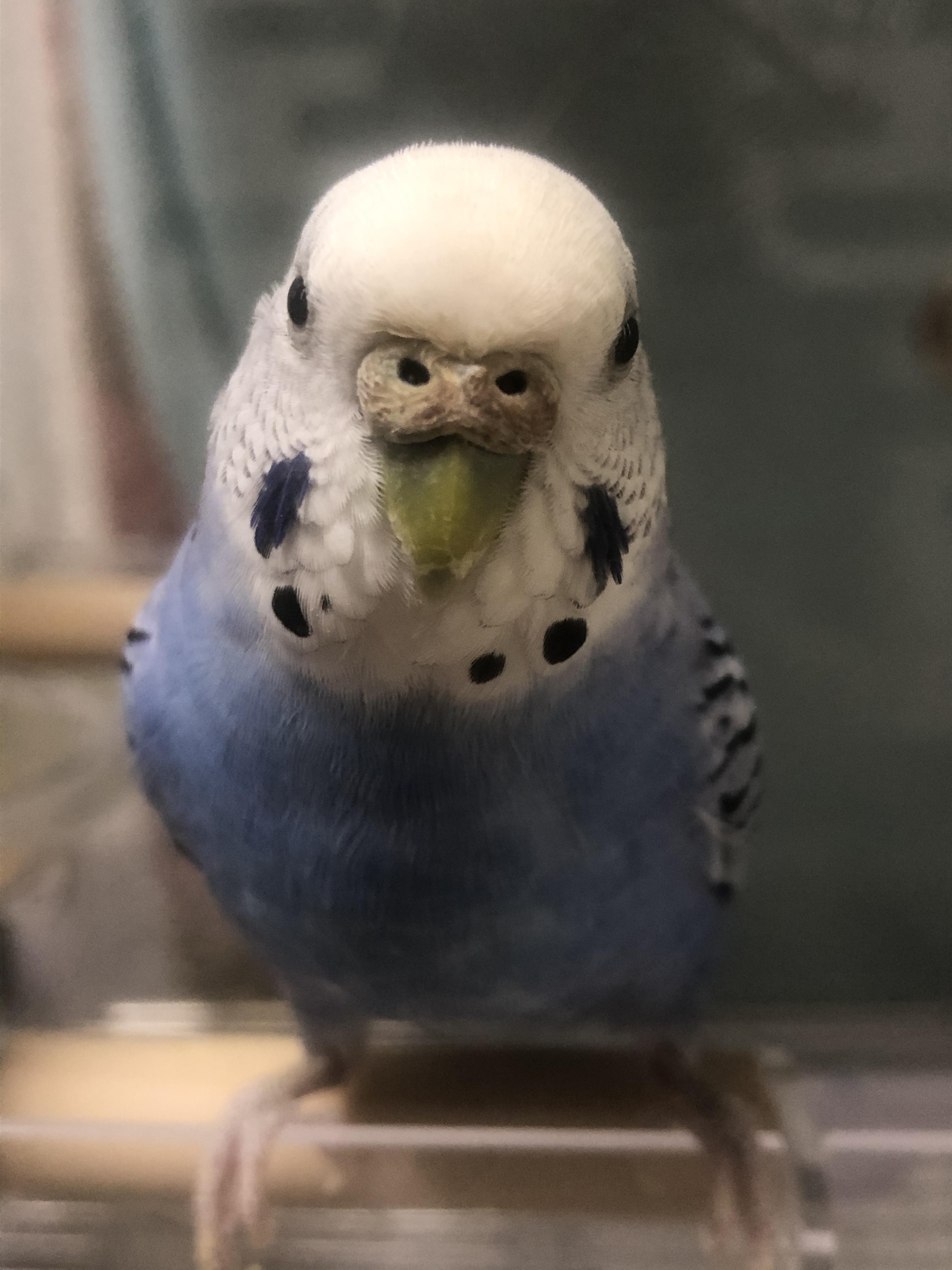 ユーザーの写真