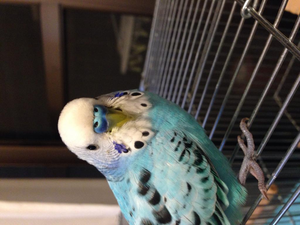 ユーザーの写真
