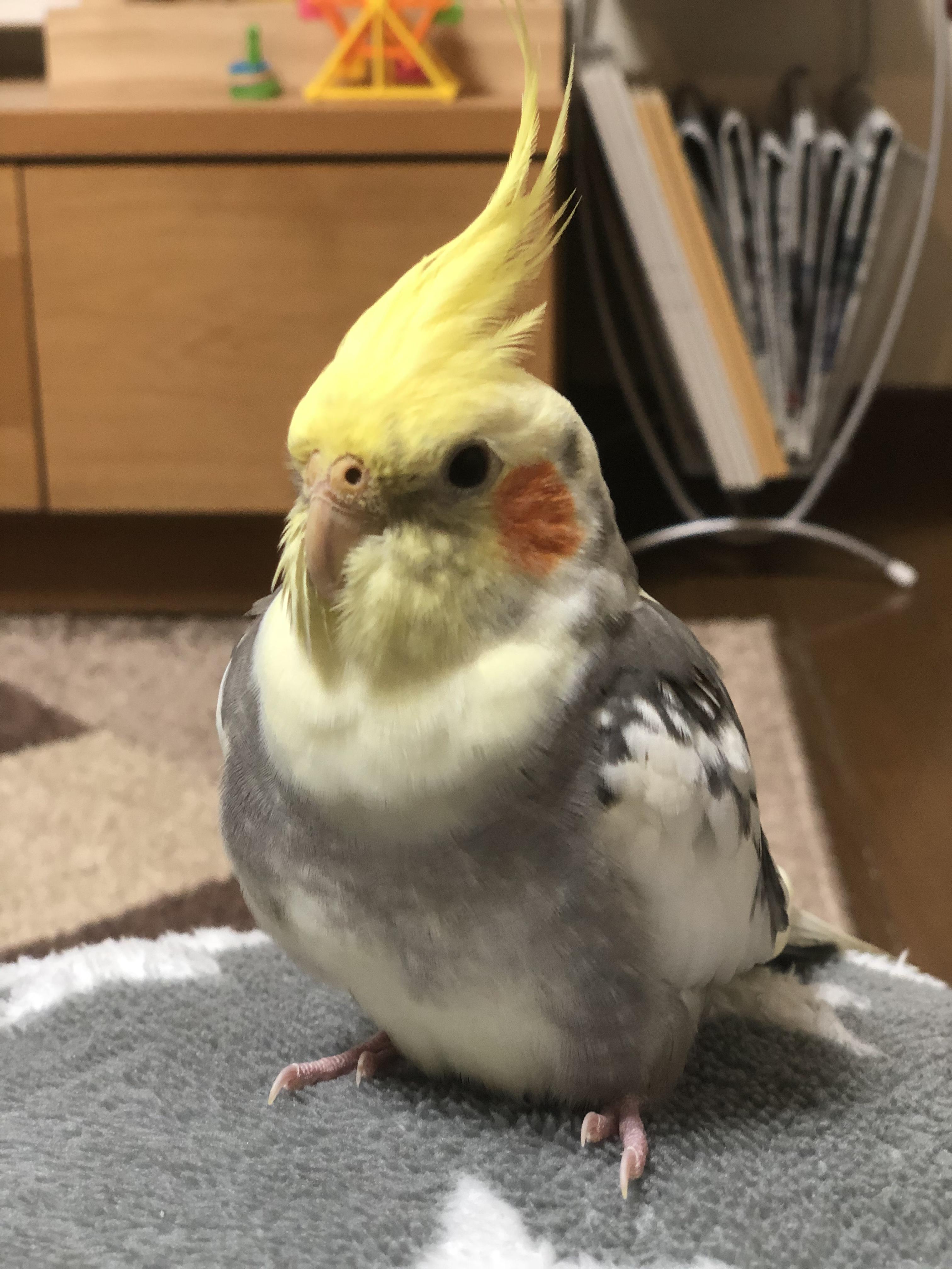 ユーザーの写真