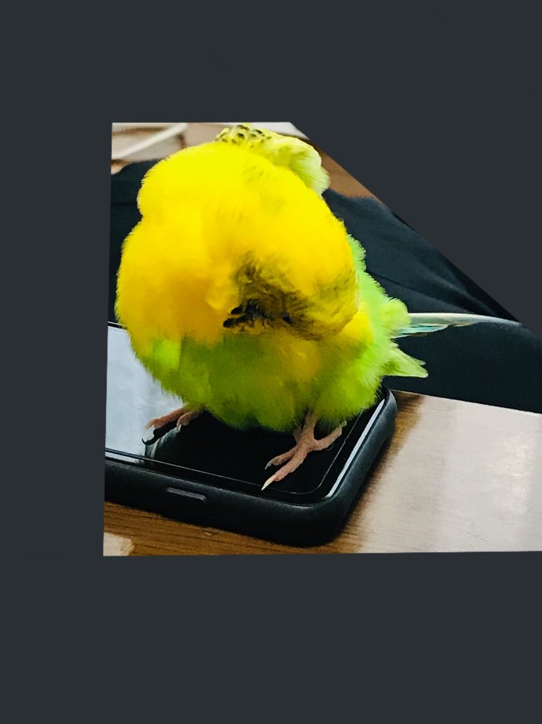 ユーザーの写真