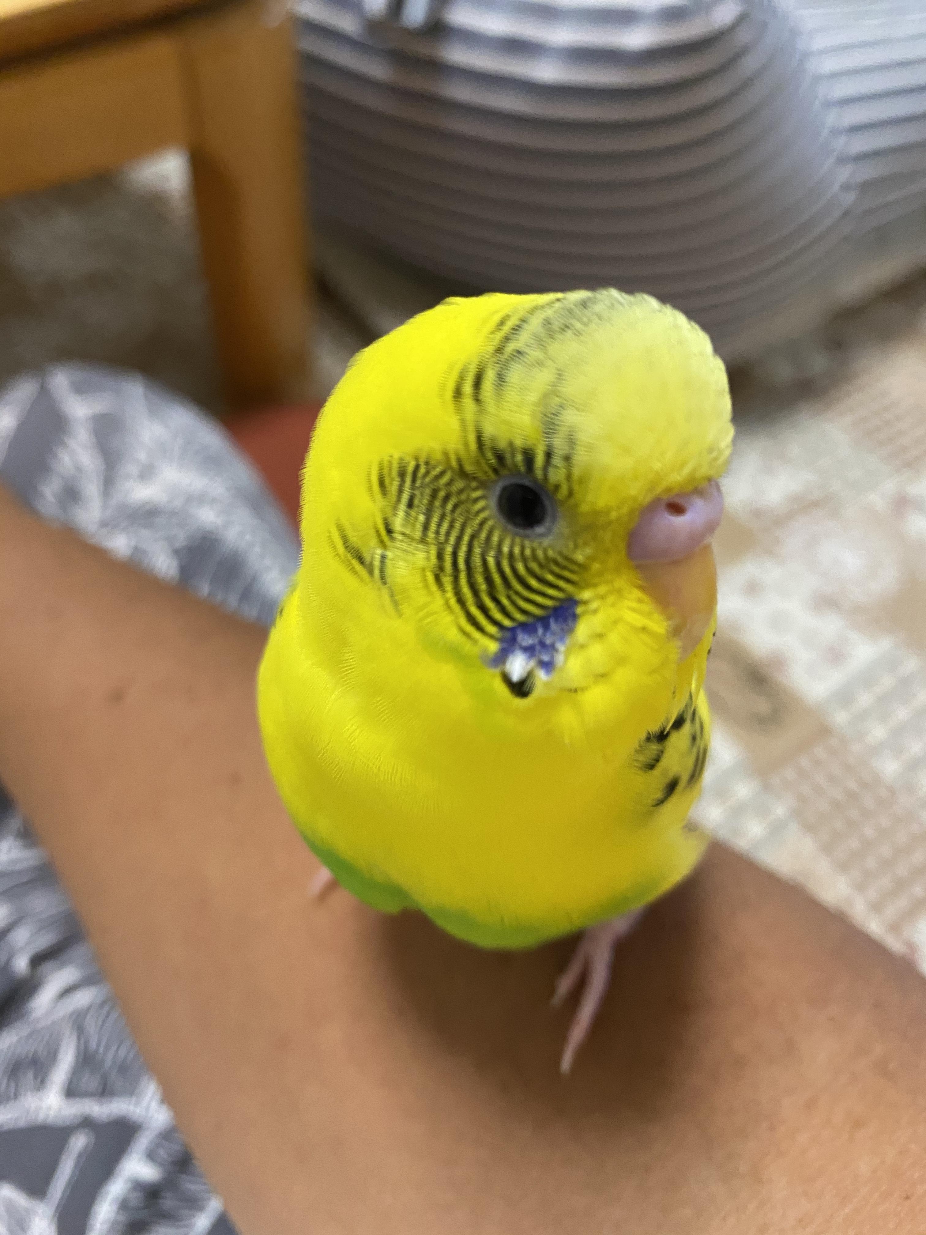 ユーザーの写真