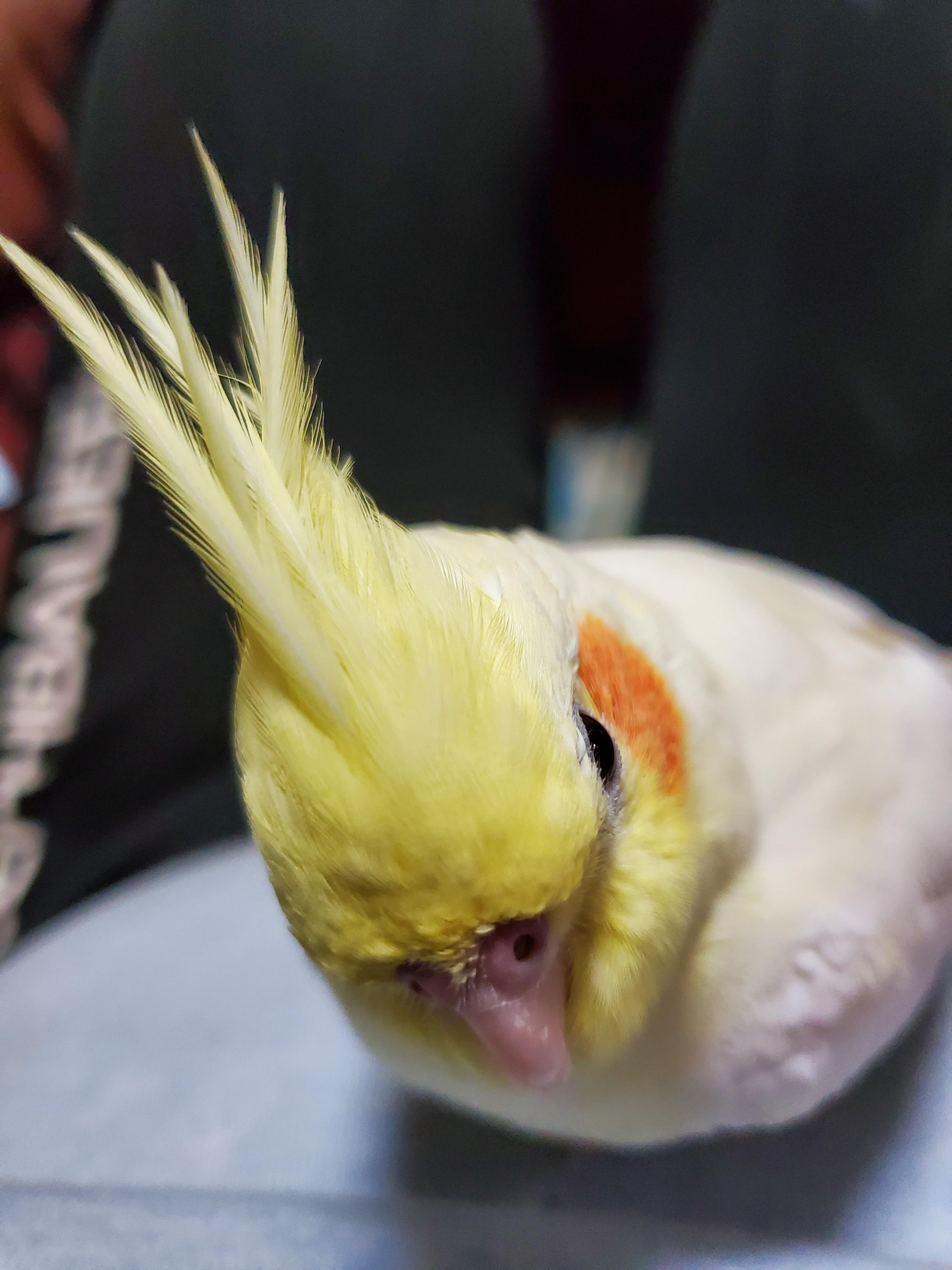 ユーザーの写真