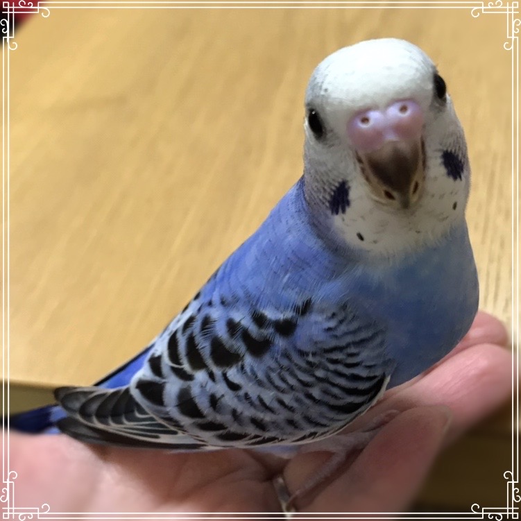 ユーザーの写真