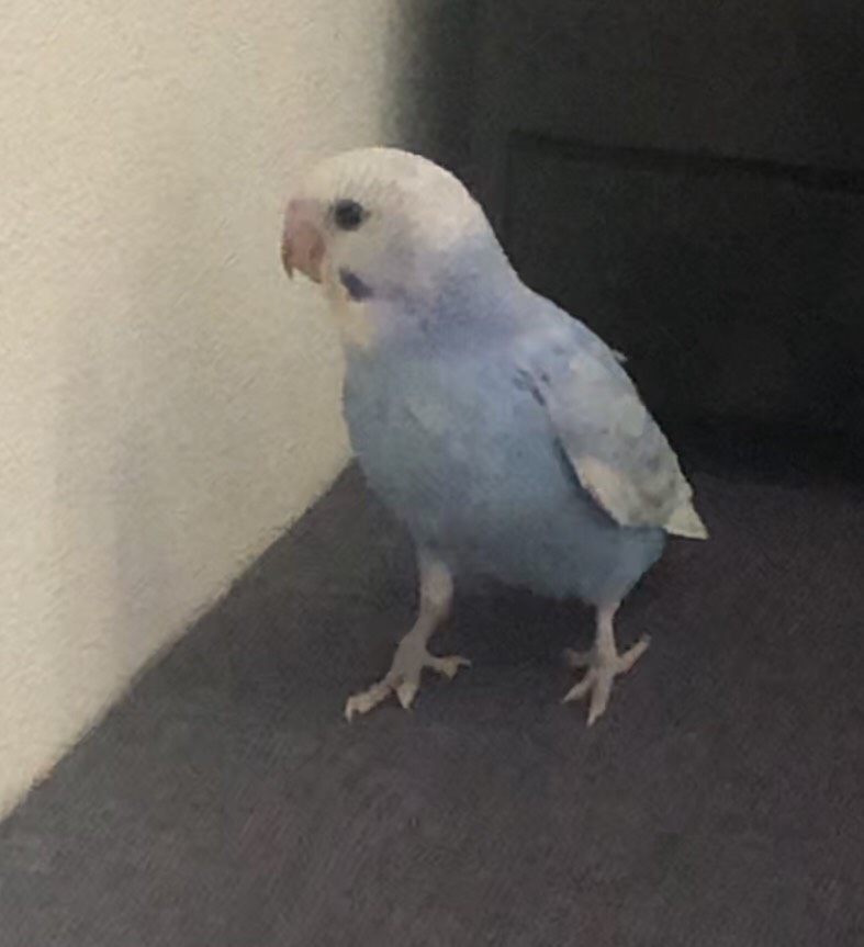 ユーザーの写真