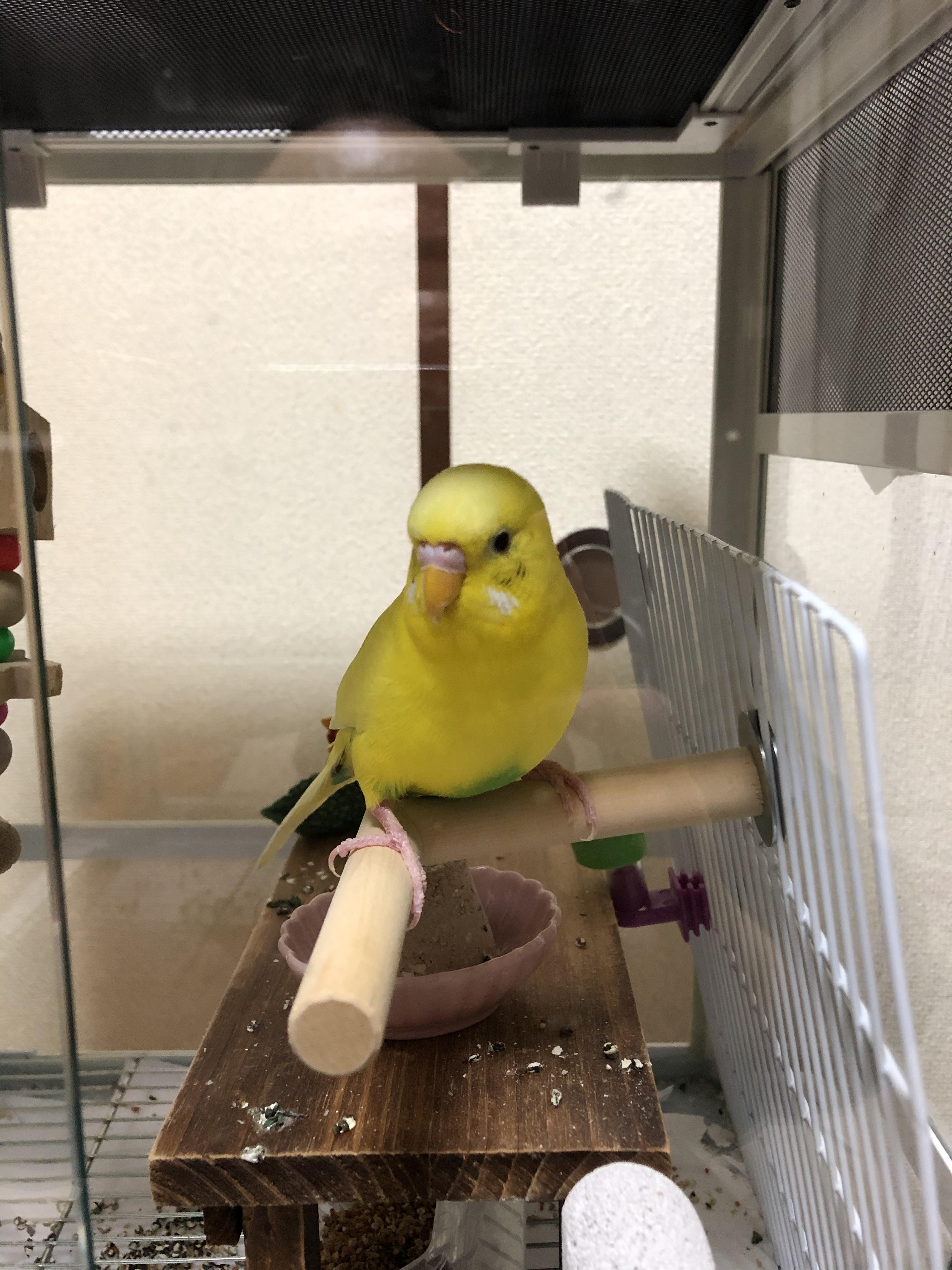 ユーザーの写真