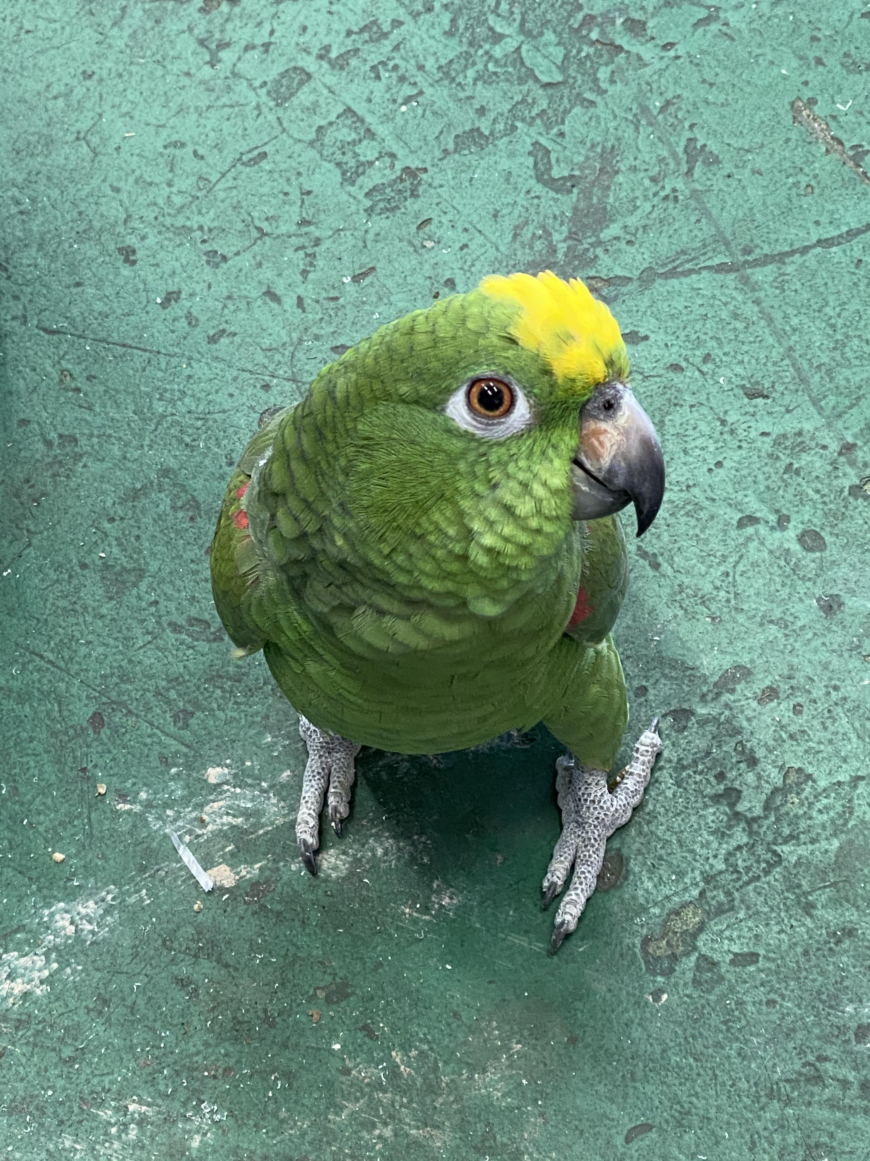 ユーザーの写真