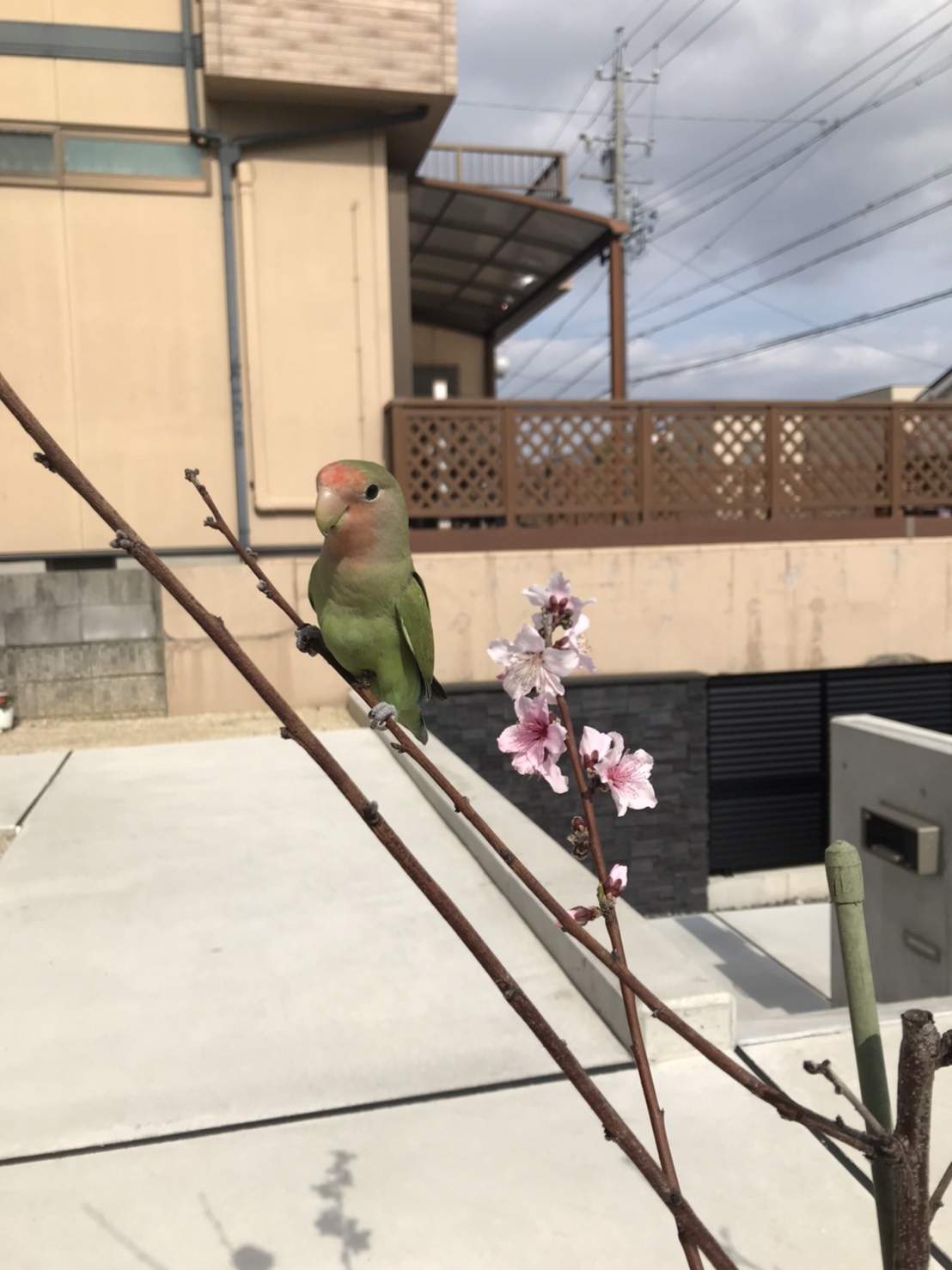 ユーザーの写真