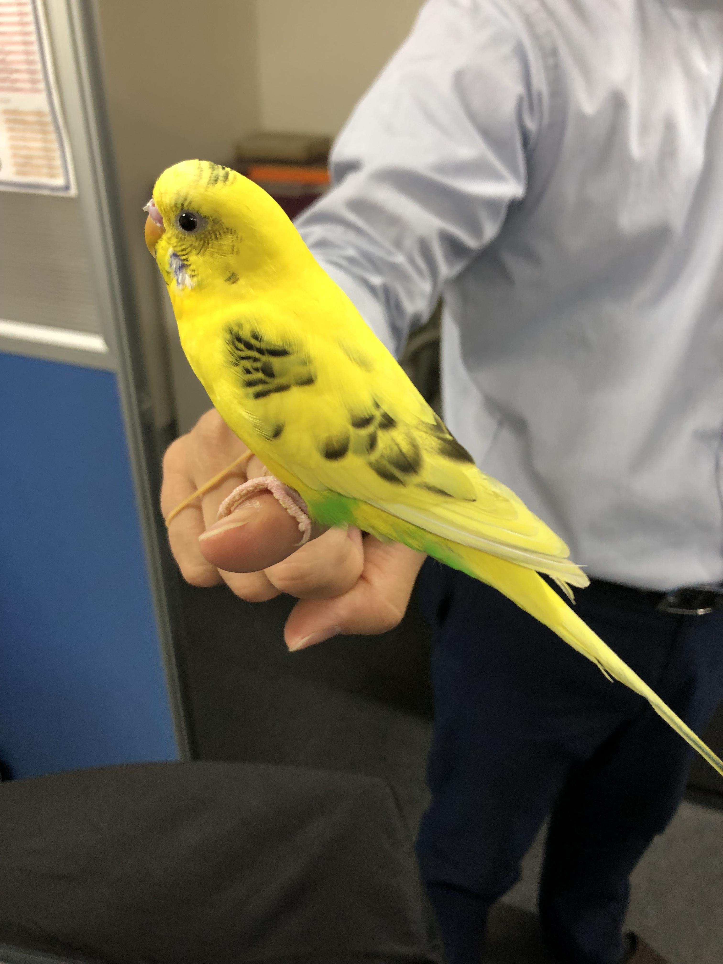 ユーザーの写真